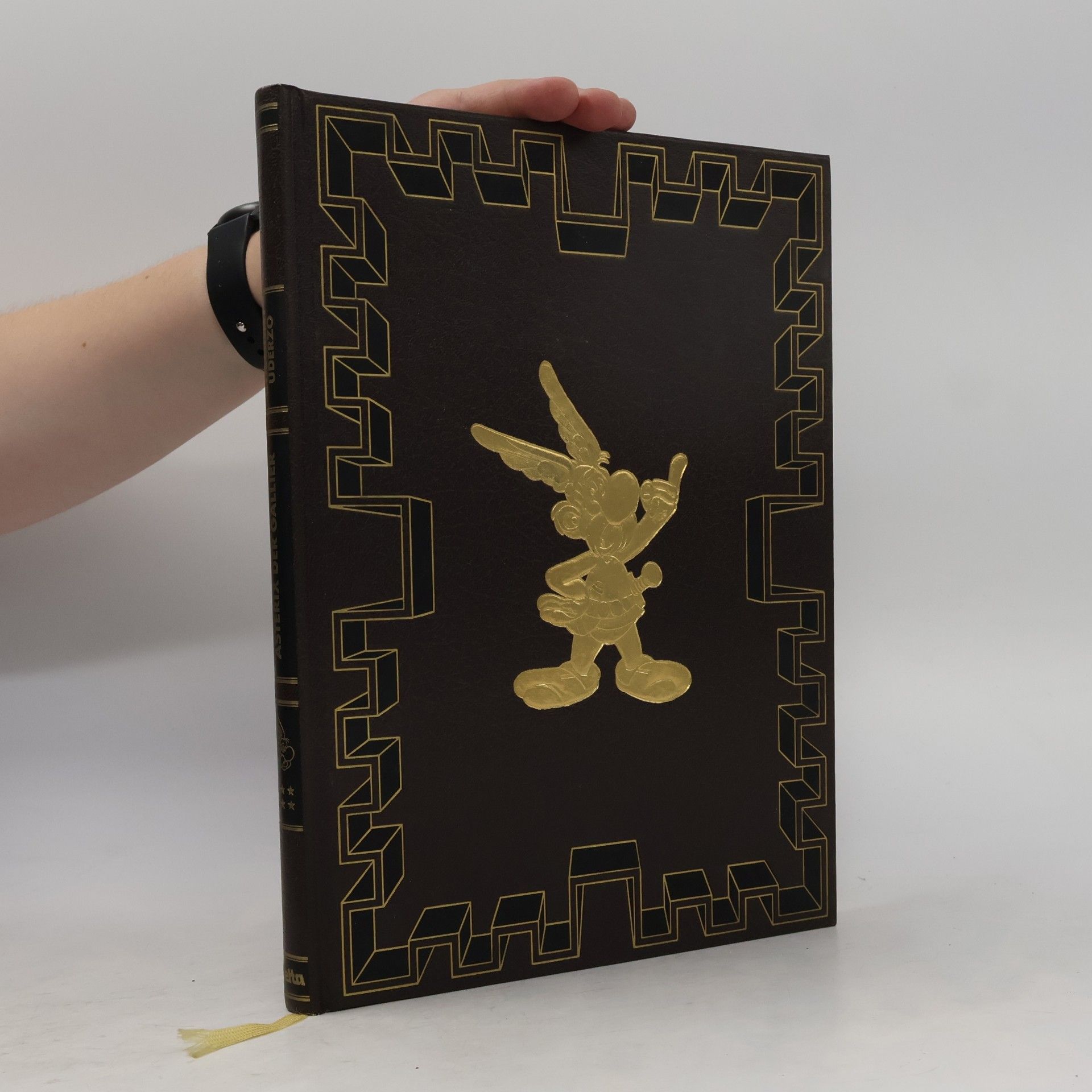 René Goscinny Asterix der Gallier 6