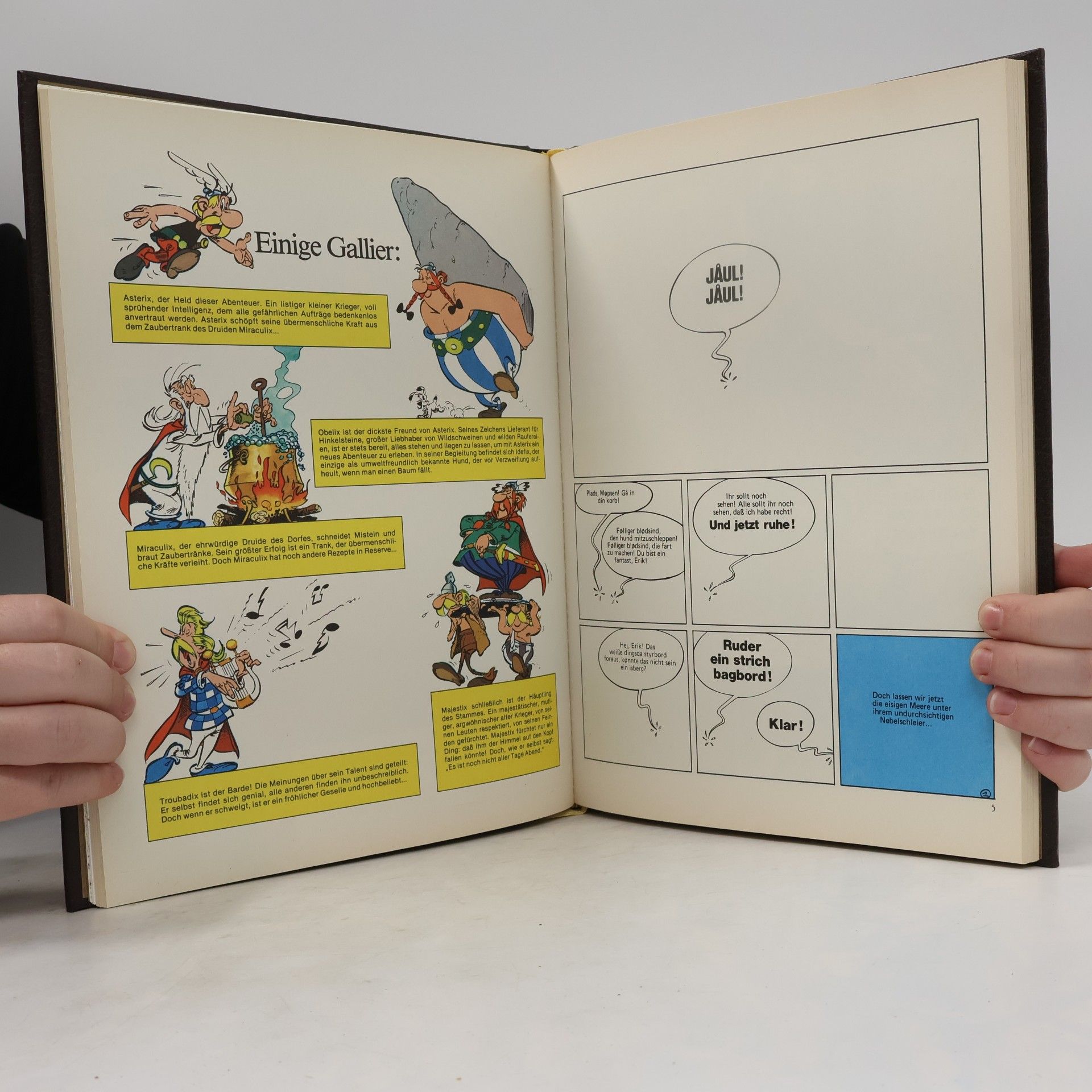René Goscinny Asterix der Gallier 6
