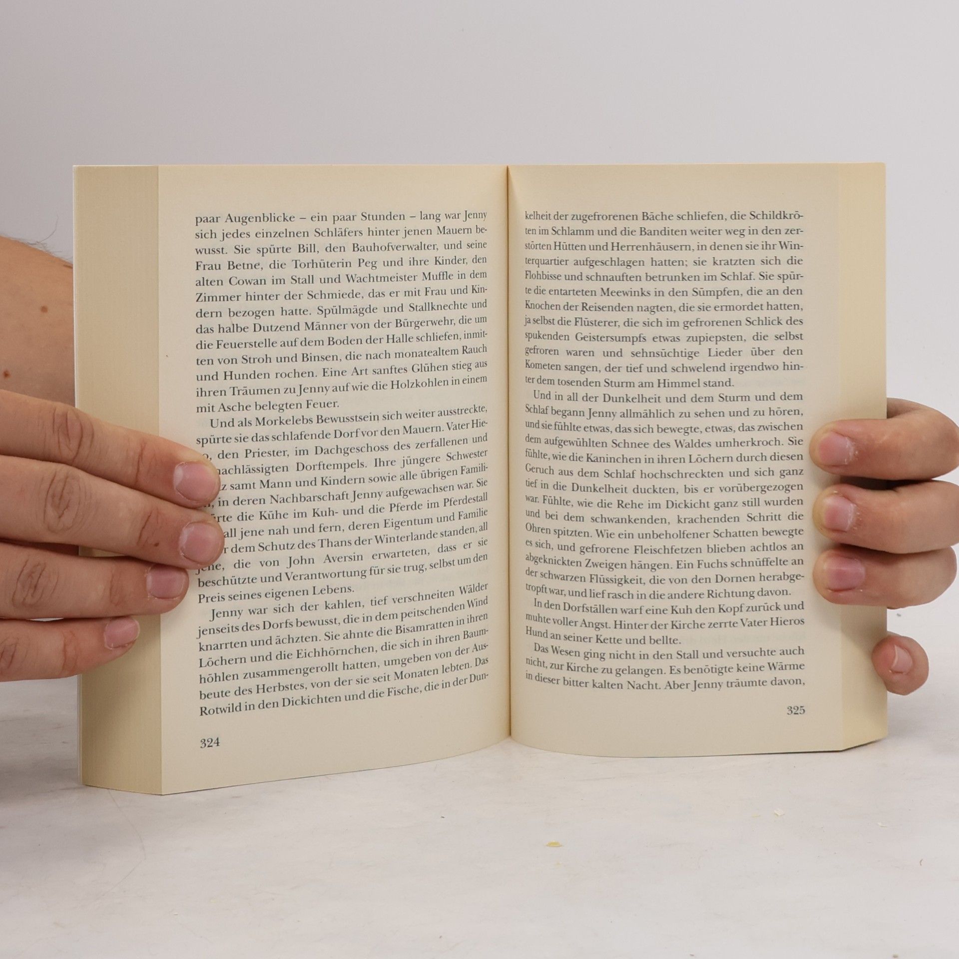 Barbara Hambly Der Drachentöter