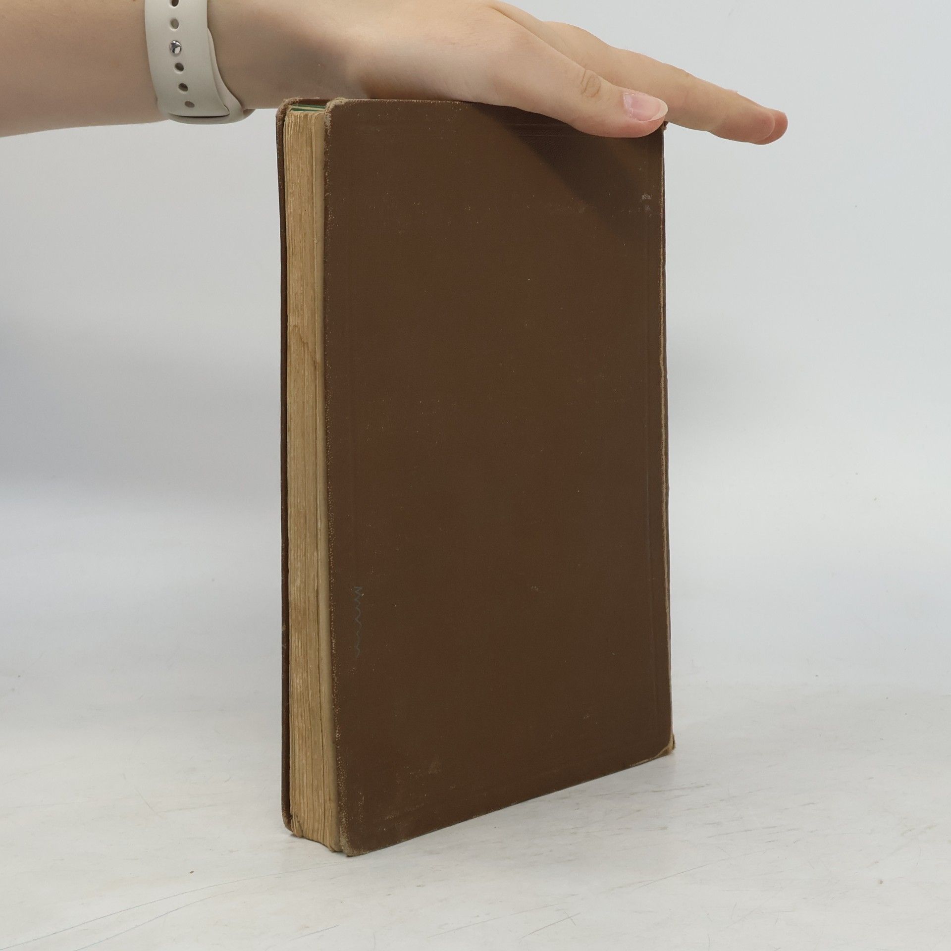 Various authors Ellendt-Seyfferts Lateinische Grammatik
