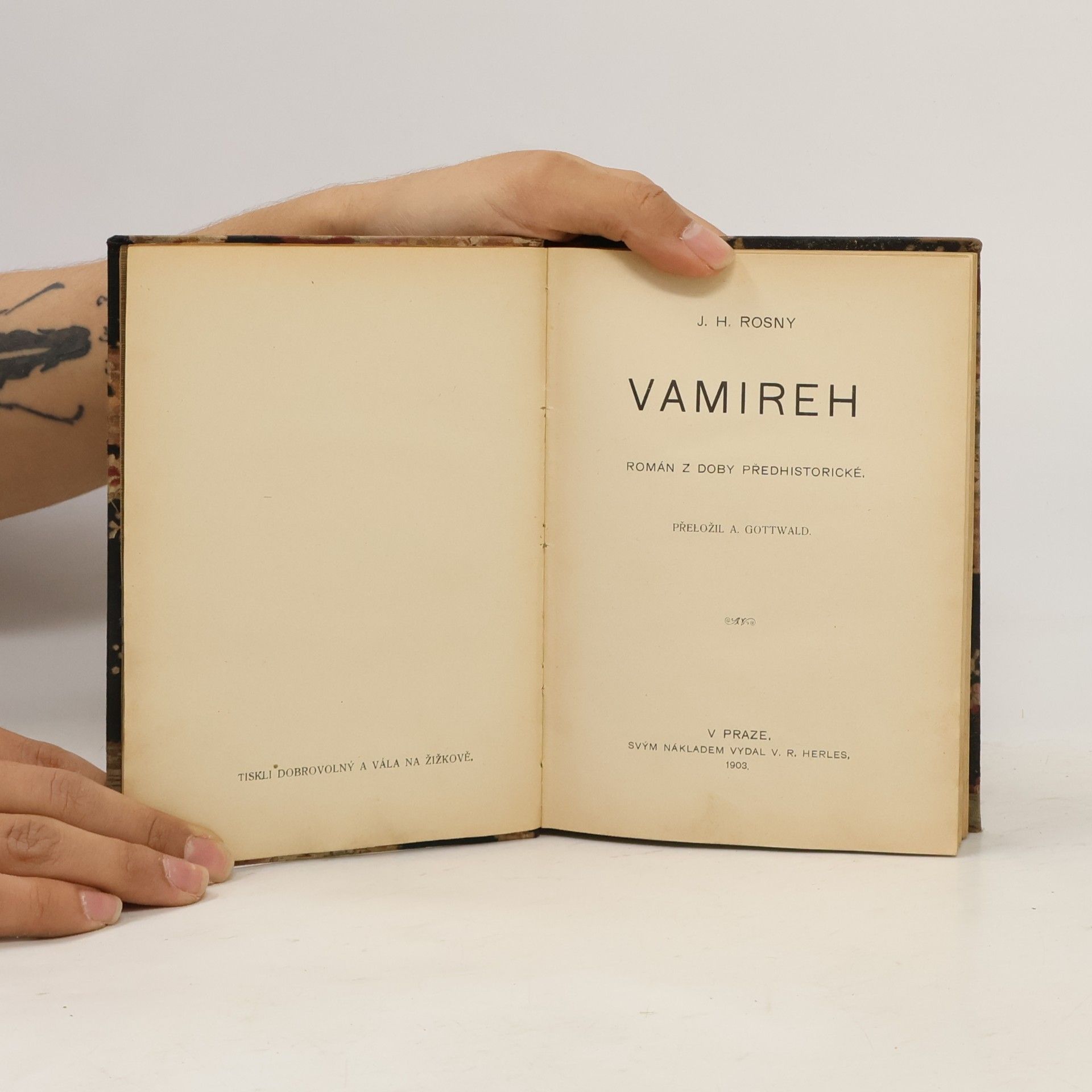 Rosny J. H. Vamireh