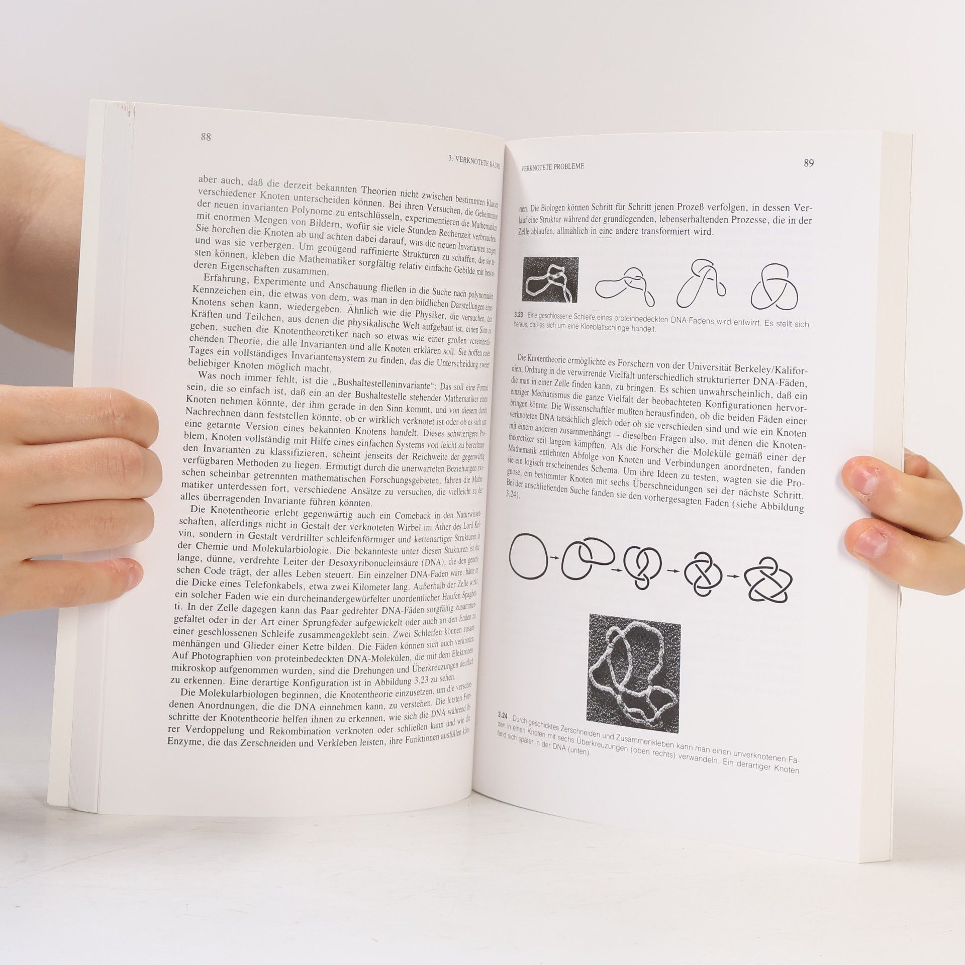 Ivars Peterson Mathematische Expeditionen