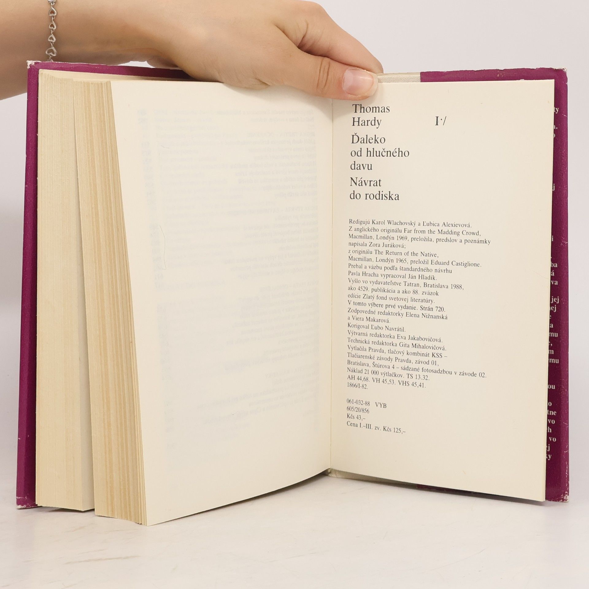 Thomas Hardy Ďaleko od hlučného davu. Návrat do rodiska