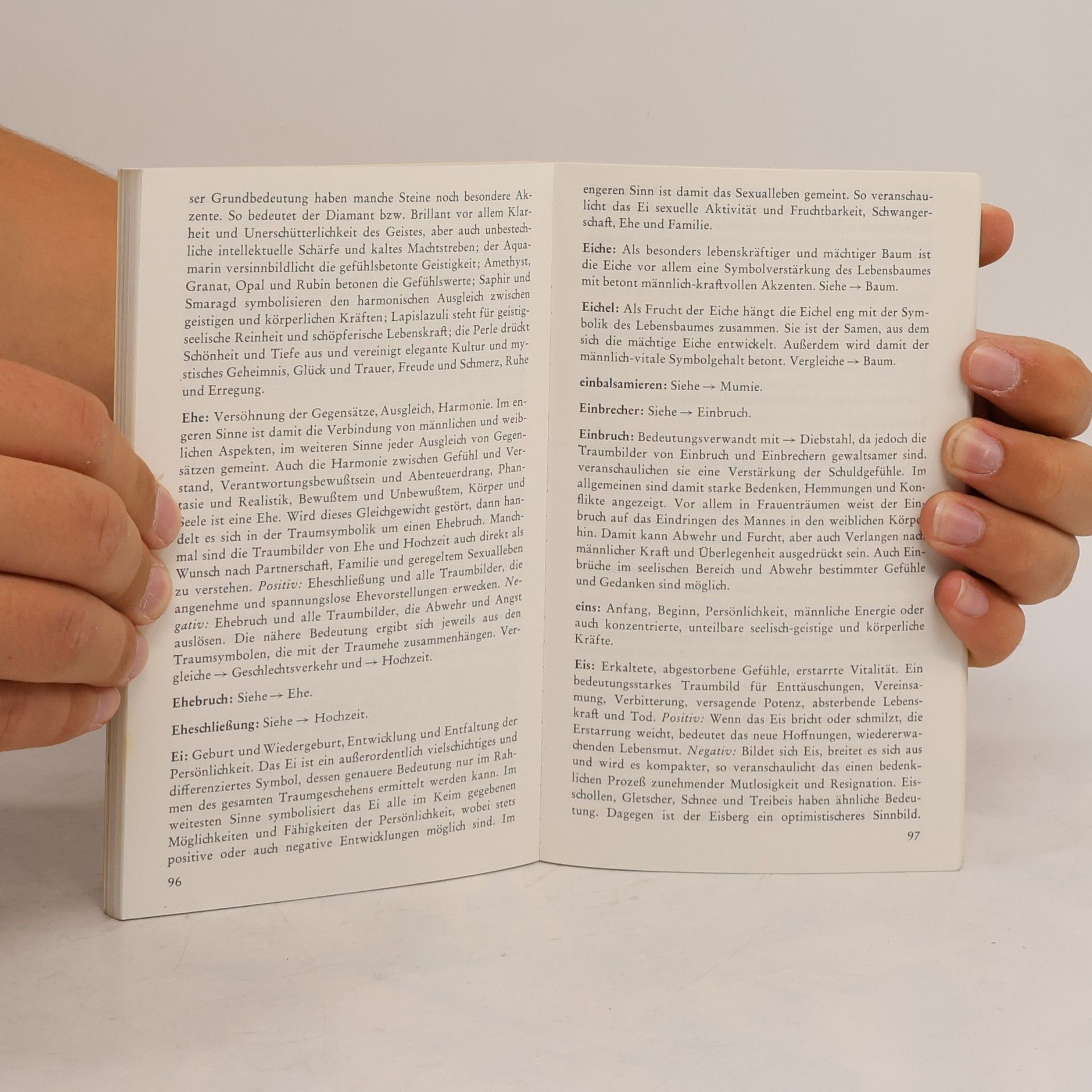 Günter Pössiger Traumbuch