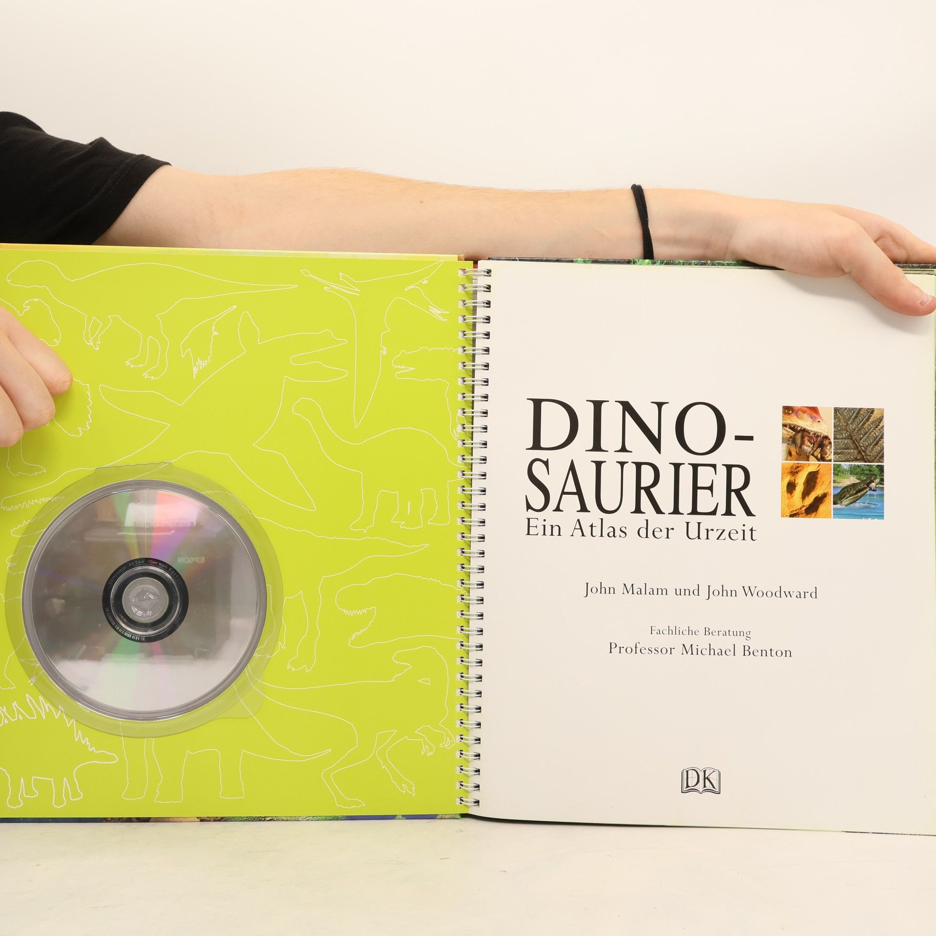 John Malam Dinosaurier