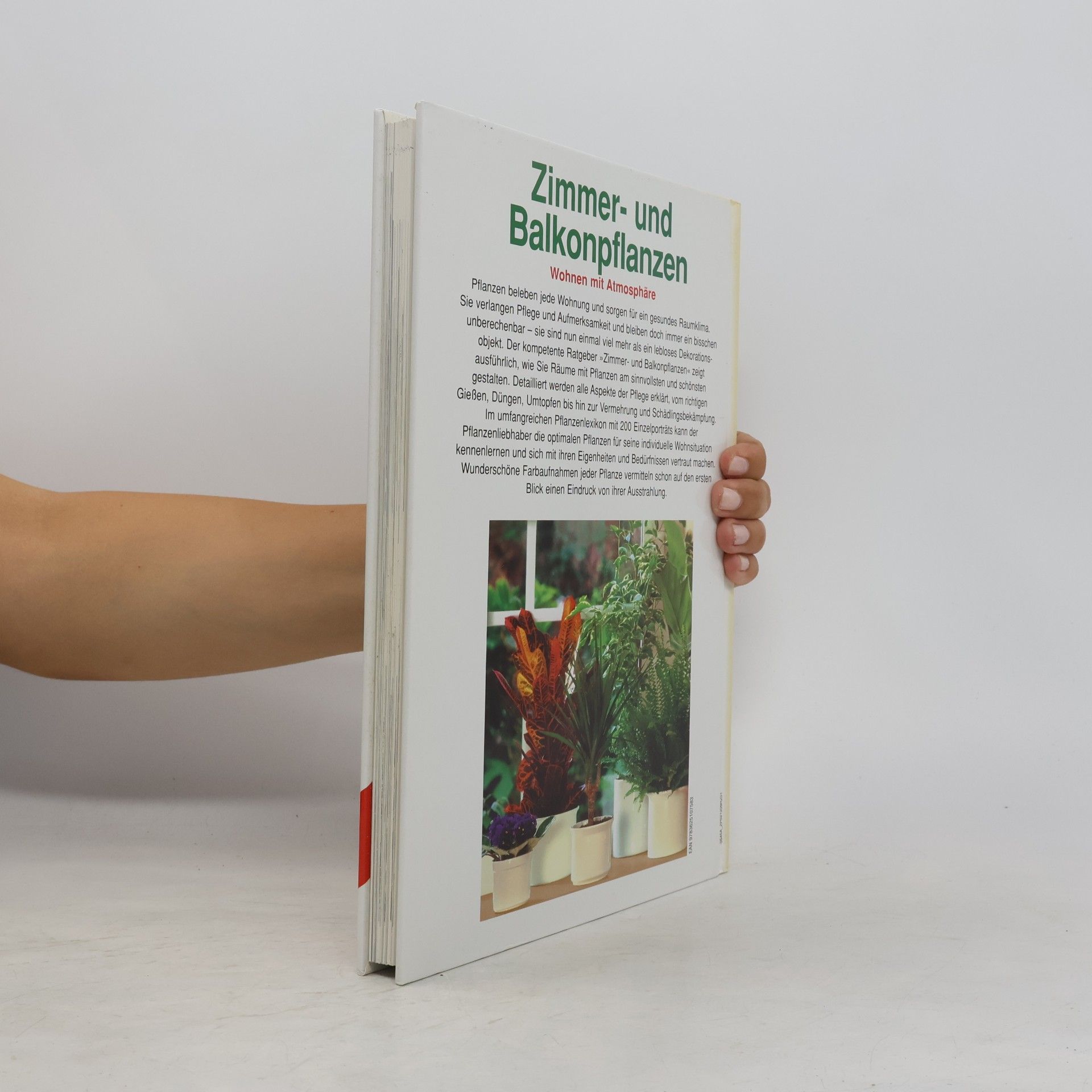 Autores varios Zimmer- und Balkonpflanzen