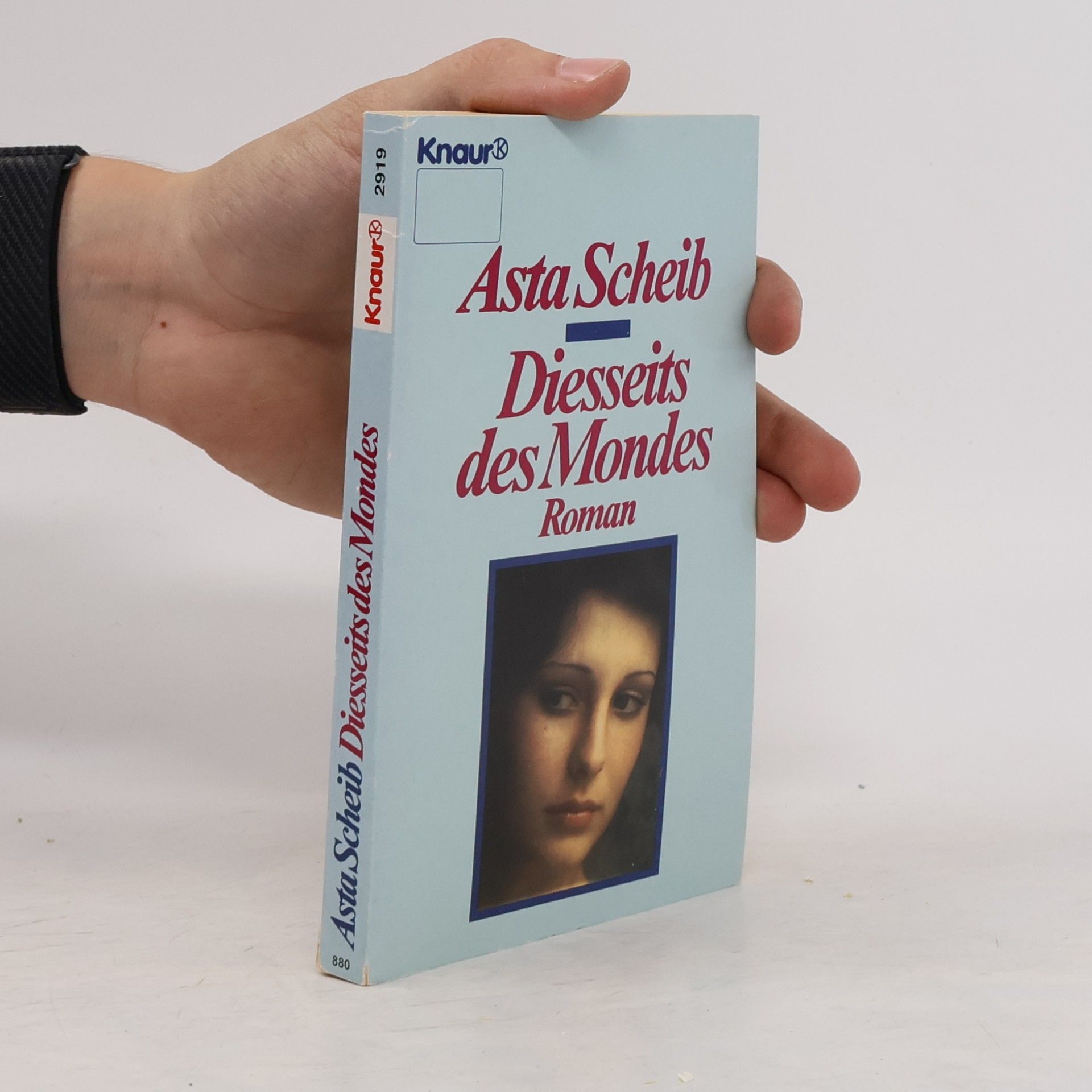 Asta Scheib Diesseits des Mondes