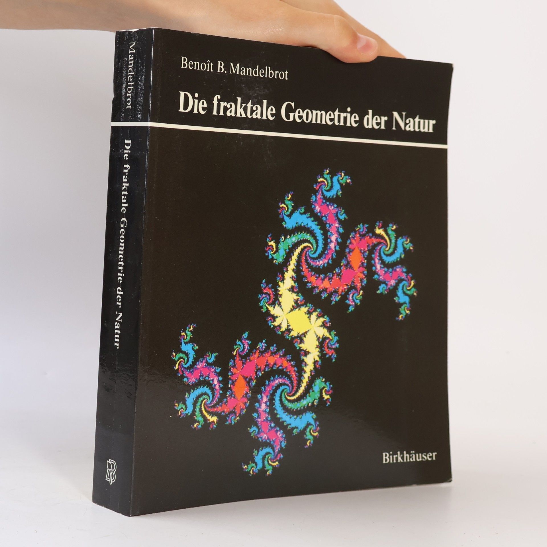 Benoit Mandelbrot Die fraktale Geometrie der Natur