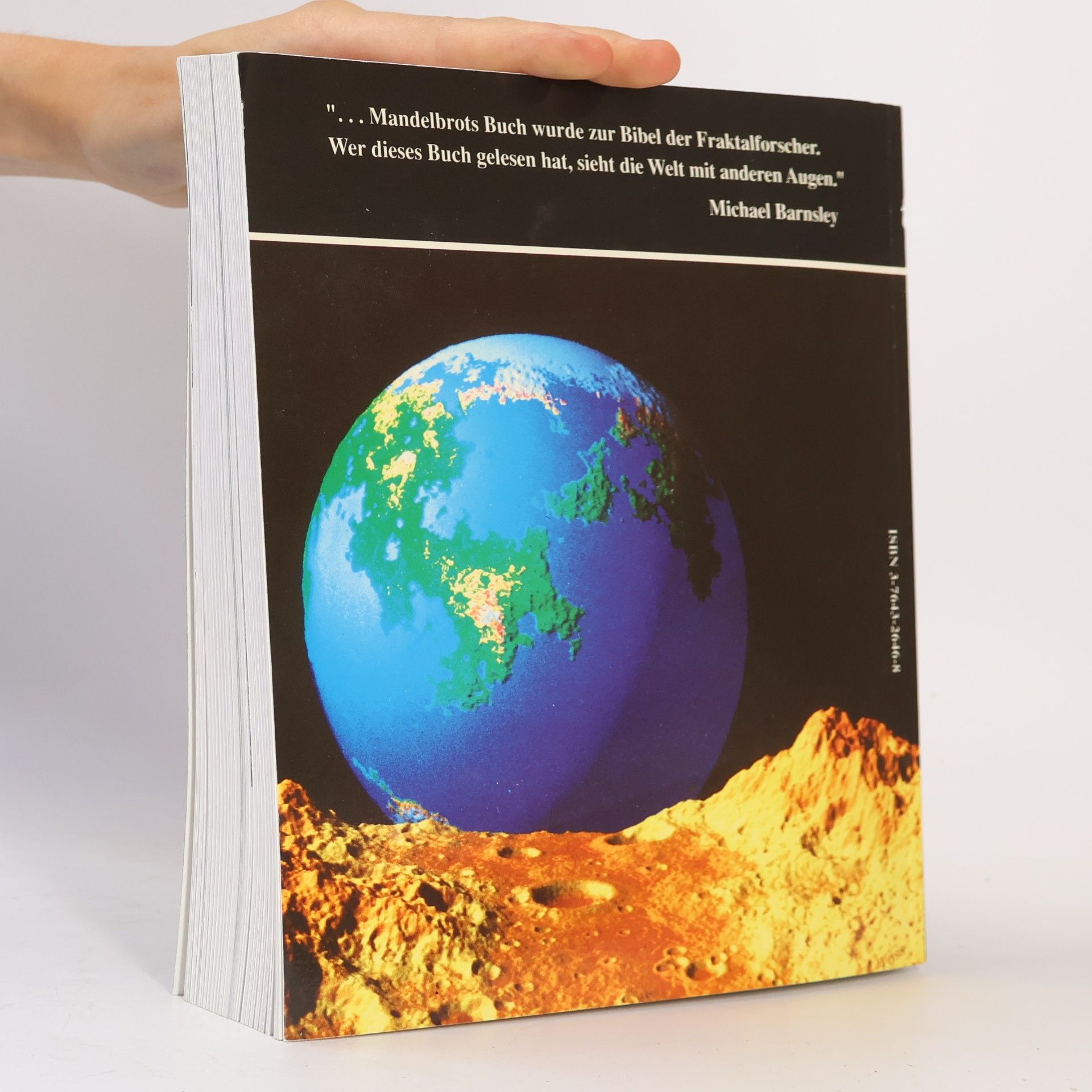 Benoit Mandelbrot Die fraktale Geometrie der Natur