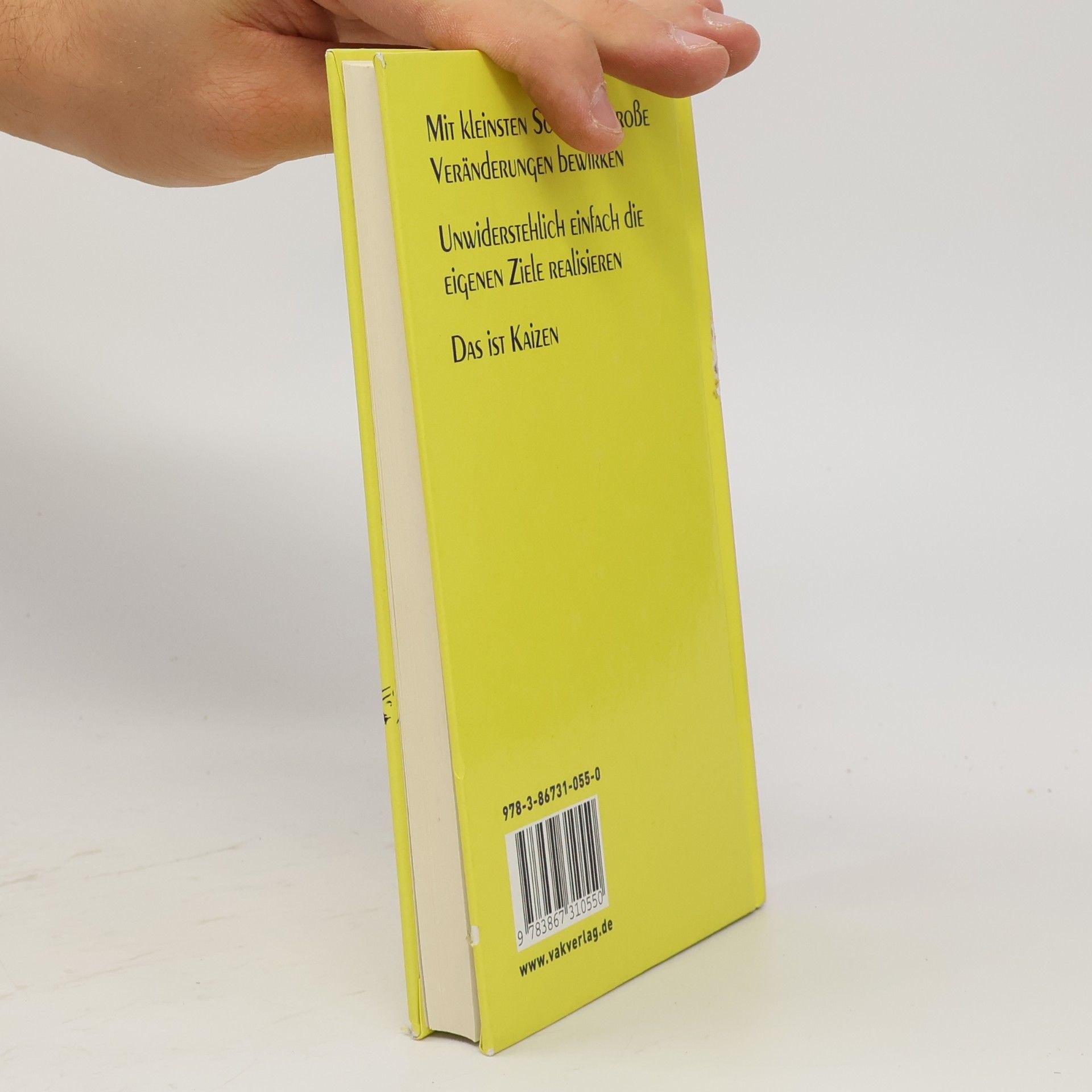 Robert Maurer Kleine Schritte, die Ihr Leben verändern