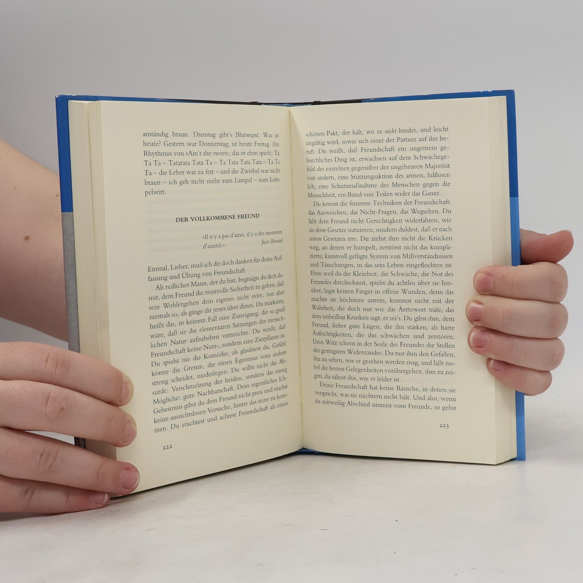 Alfred Polgar Das große Lesebuch