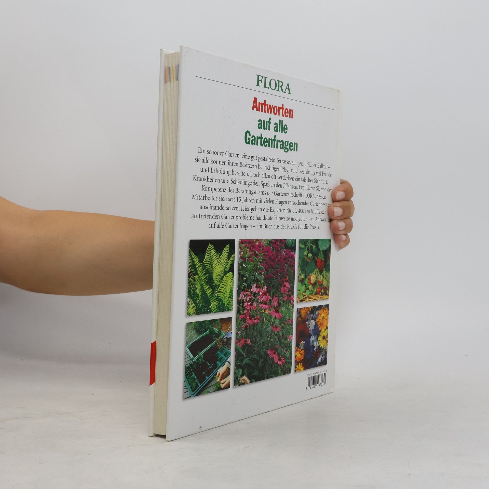 Autores varios Antworten auf alle Gartenfragen