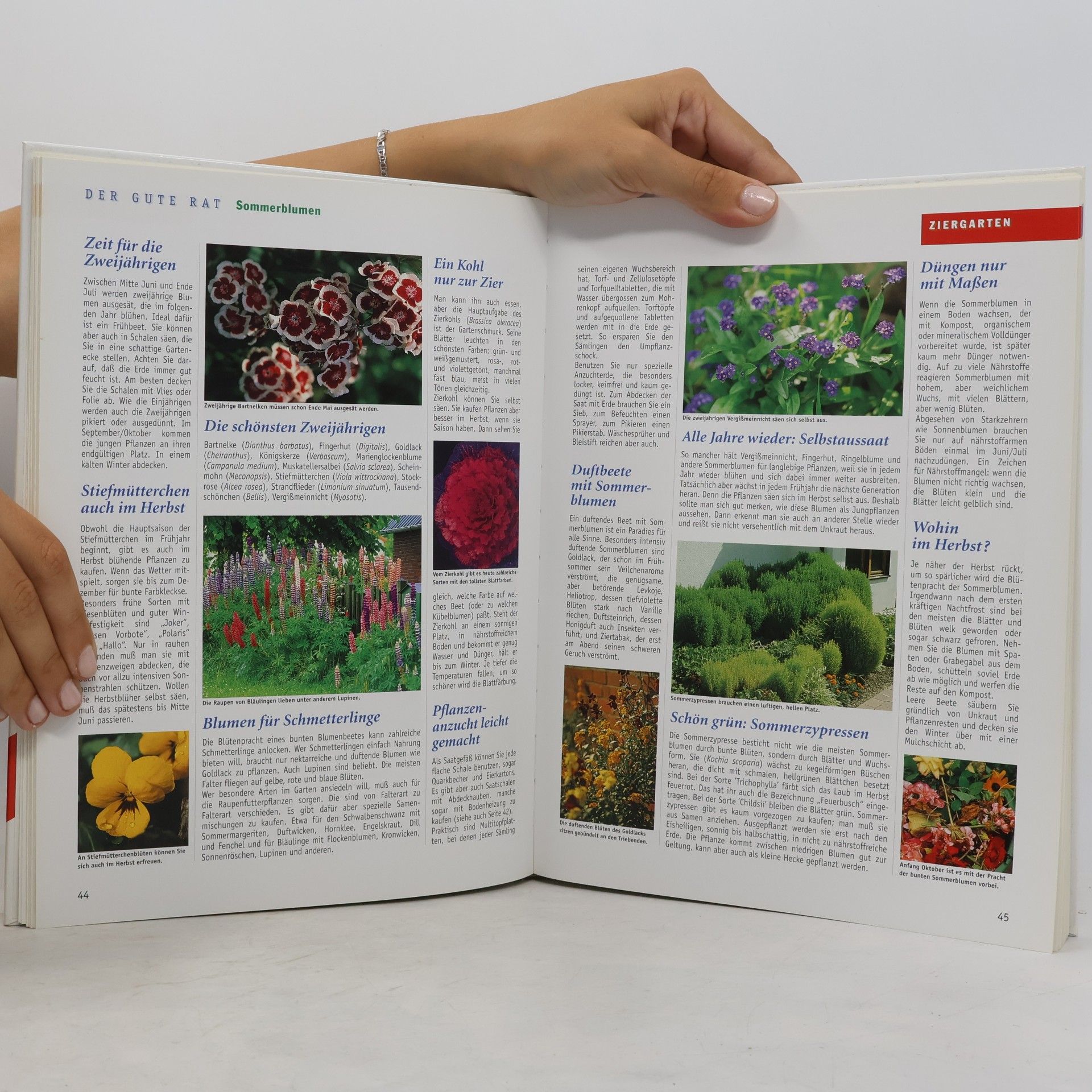 Autores varios Antworten auf alle Gartenfragen