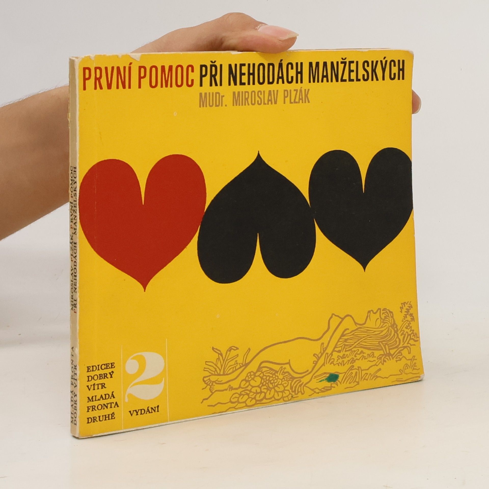 Miroslav Plzák První pomoc při nehodách manželských