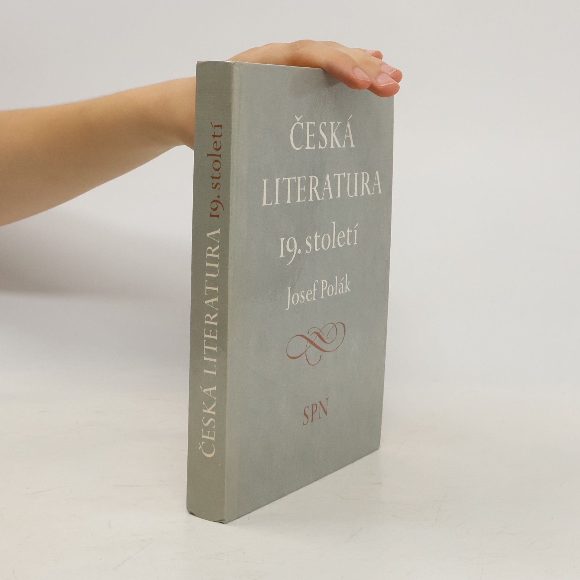 Josef Polák Česká literatura 19. století