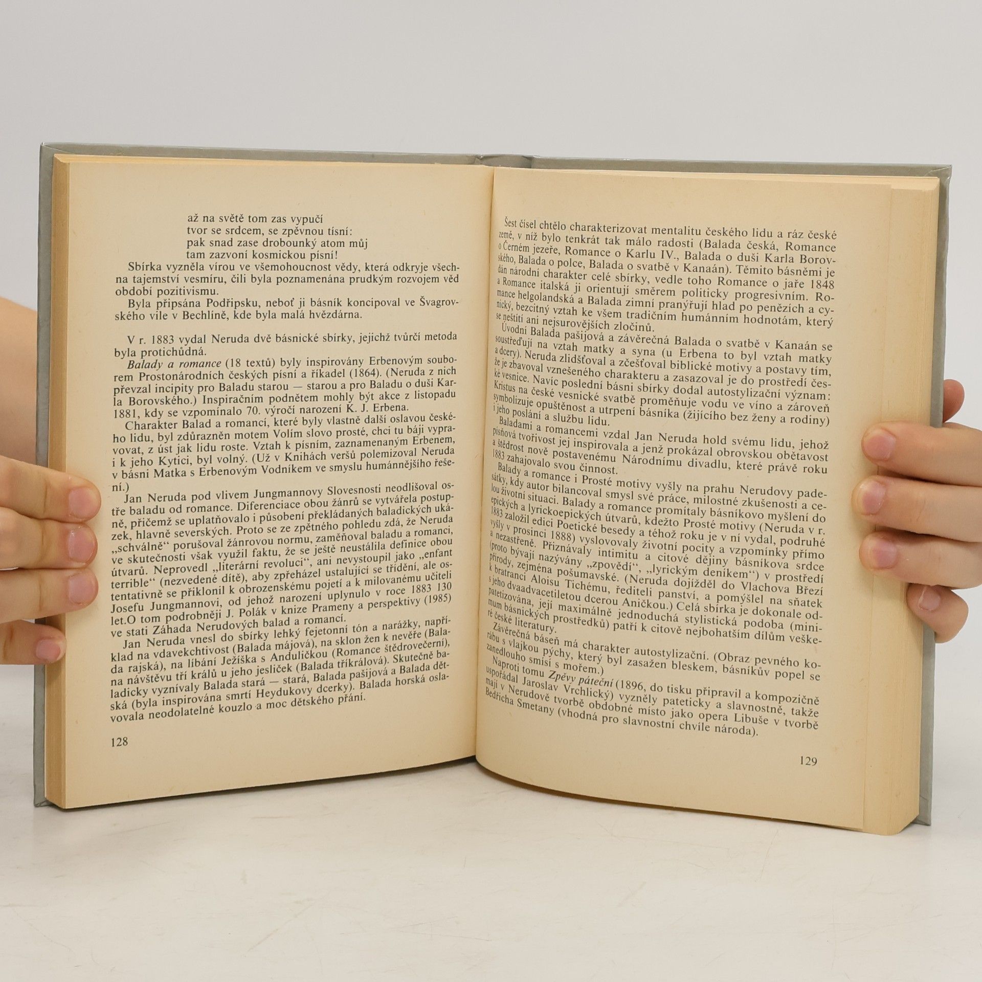 Josef Polák Česká literatura 19. století