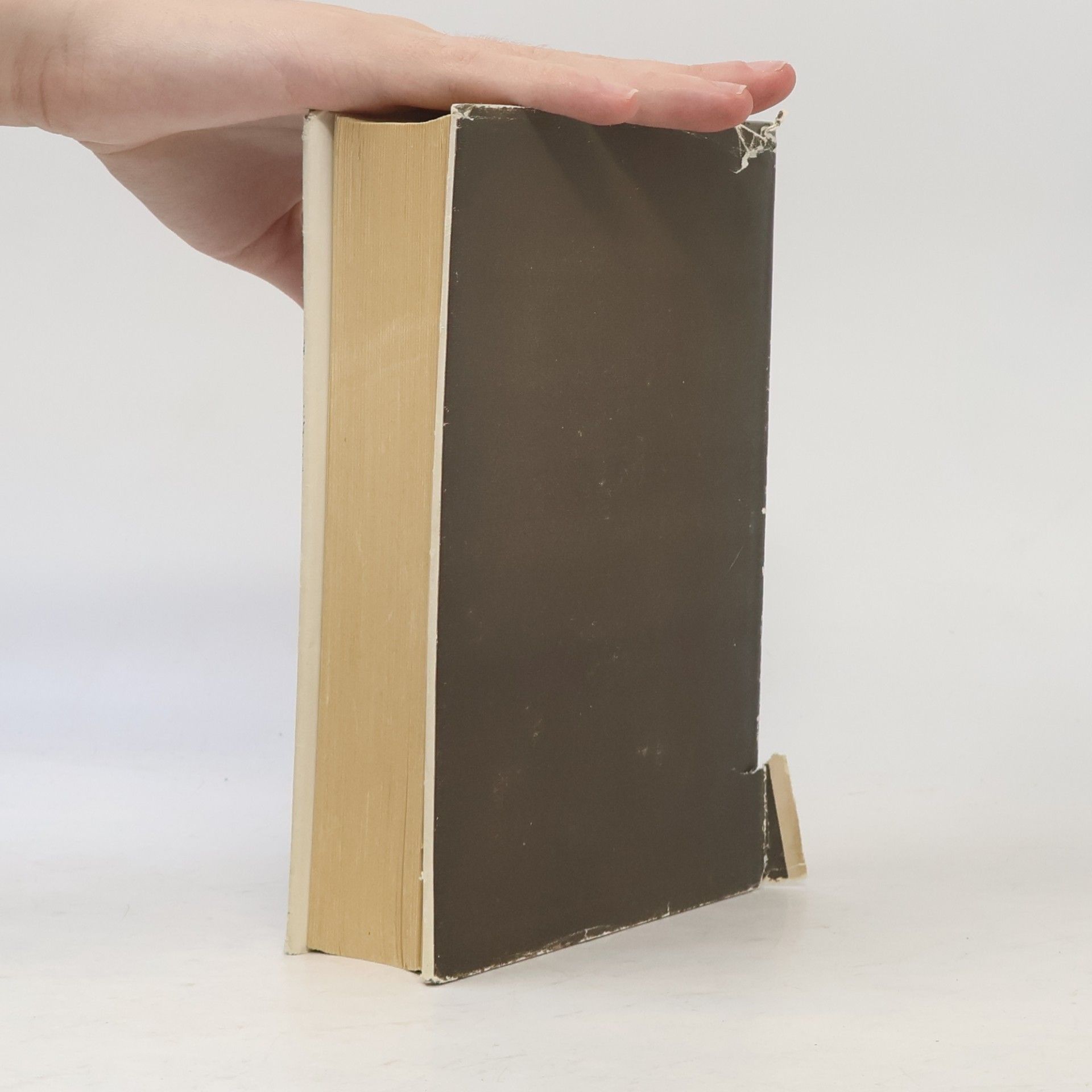 Ina Seidel Lennacker. Das Buch einer Heimkehr