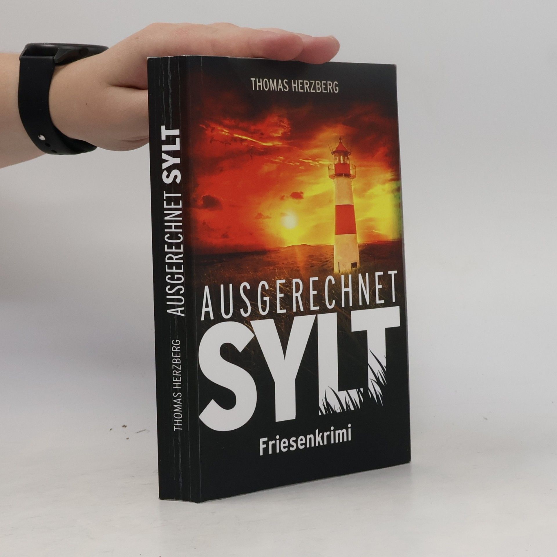 Thomas Herzberg Ausgerechnet Sylt