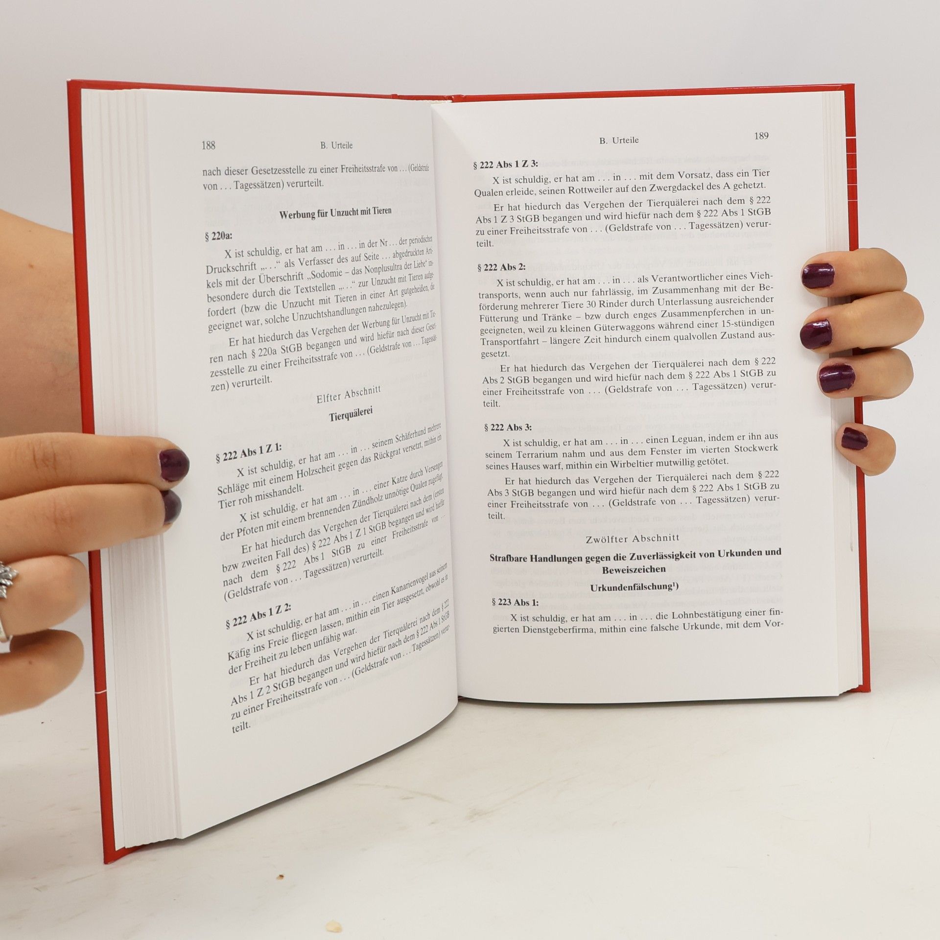 Dieter Zöchling Schriftsätze, Urteile, Rechtsmittel in Strafsachen