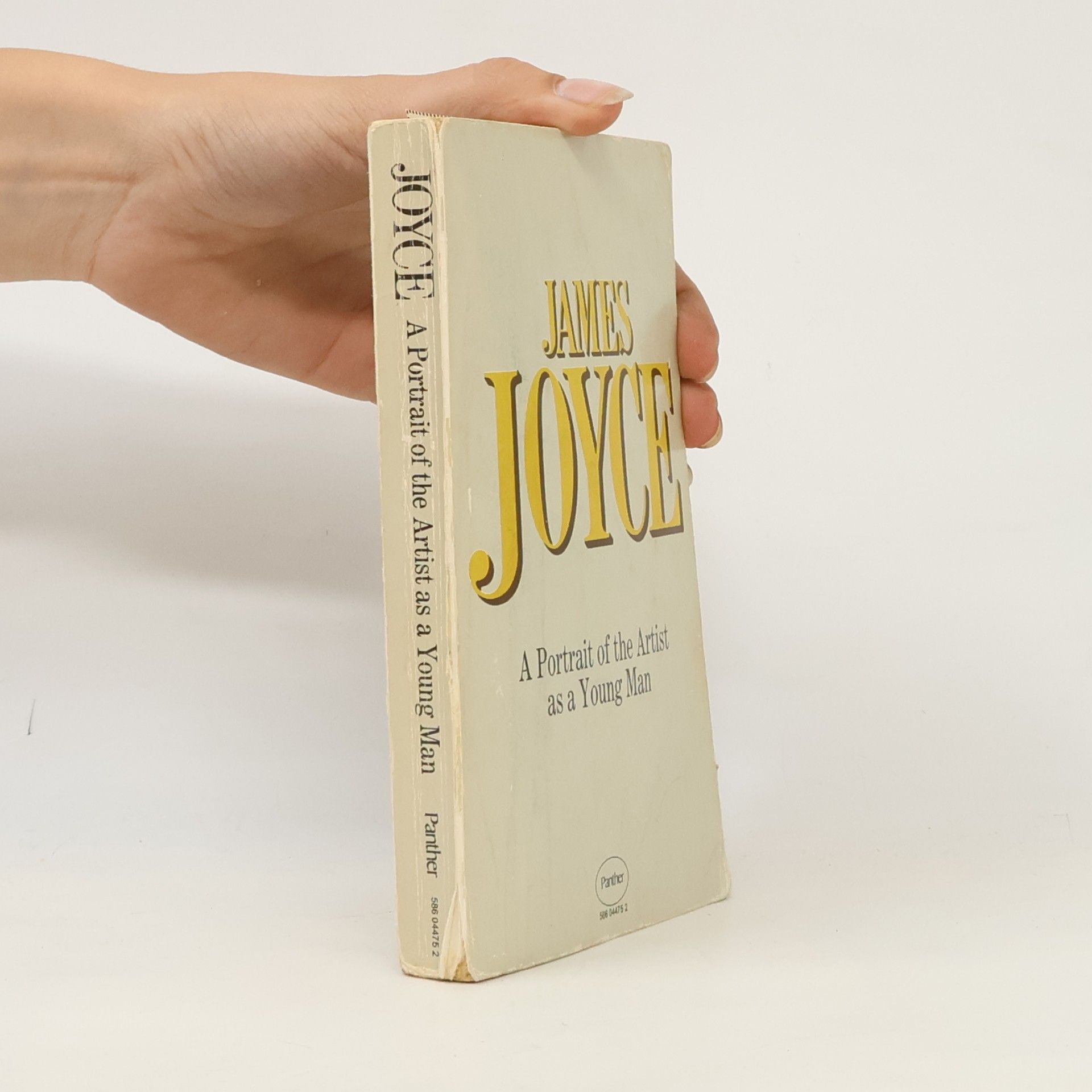 James Joyce A Portrait of the Artist as a Young Man