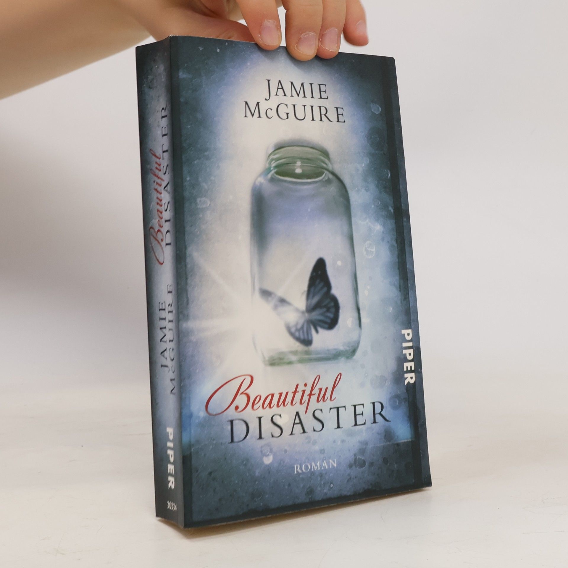 Jamie McGuire Beautiful Disaster