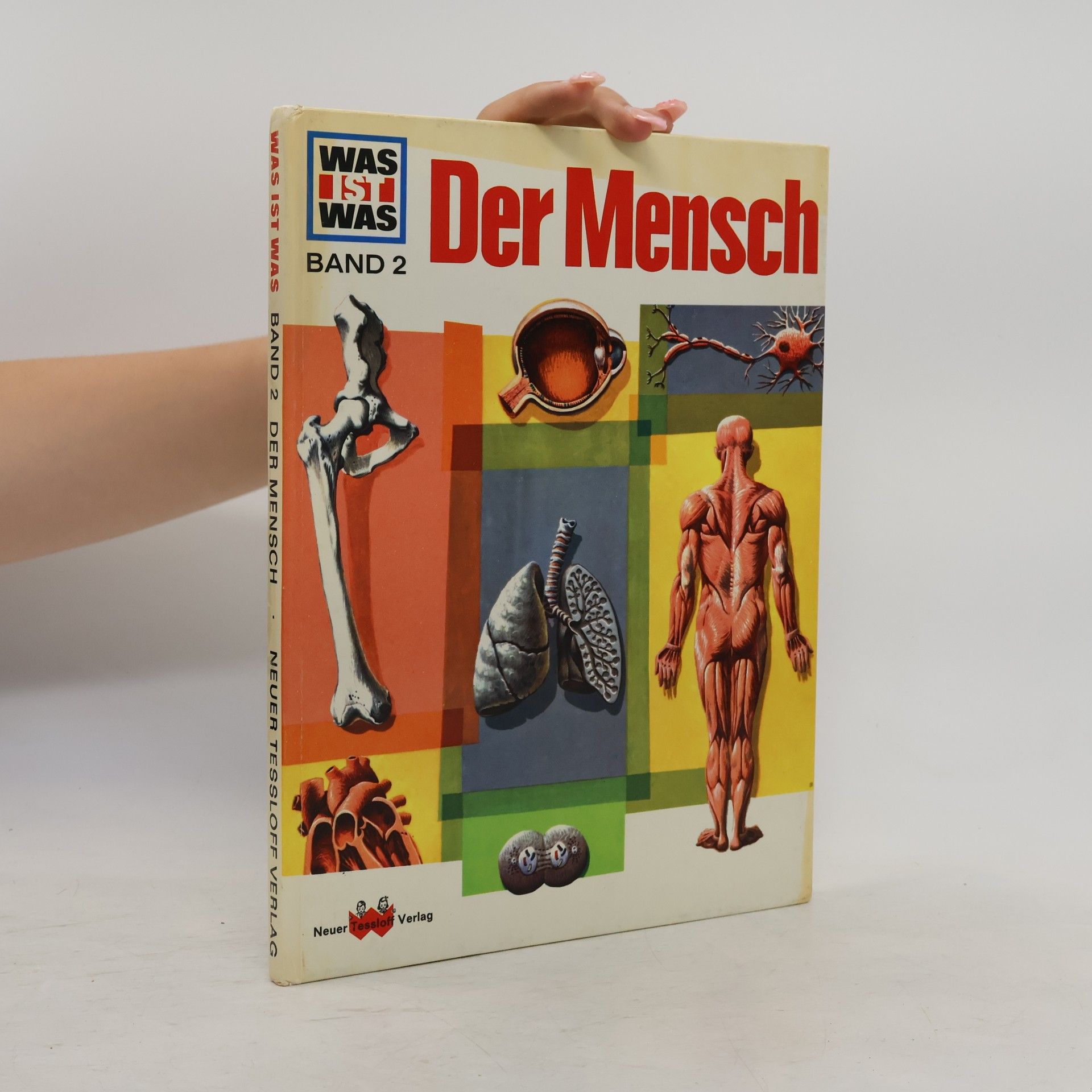 Signe Seiler Der Mensch