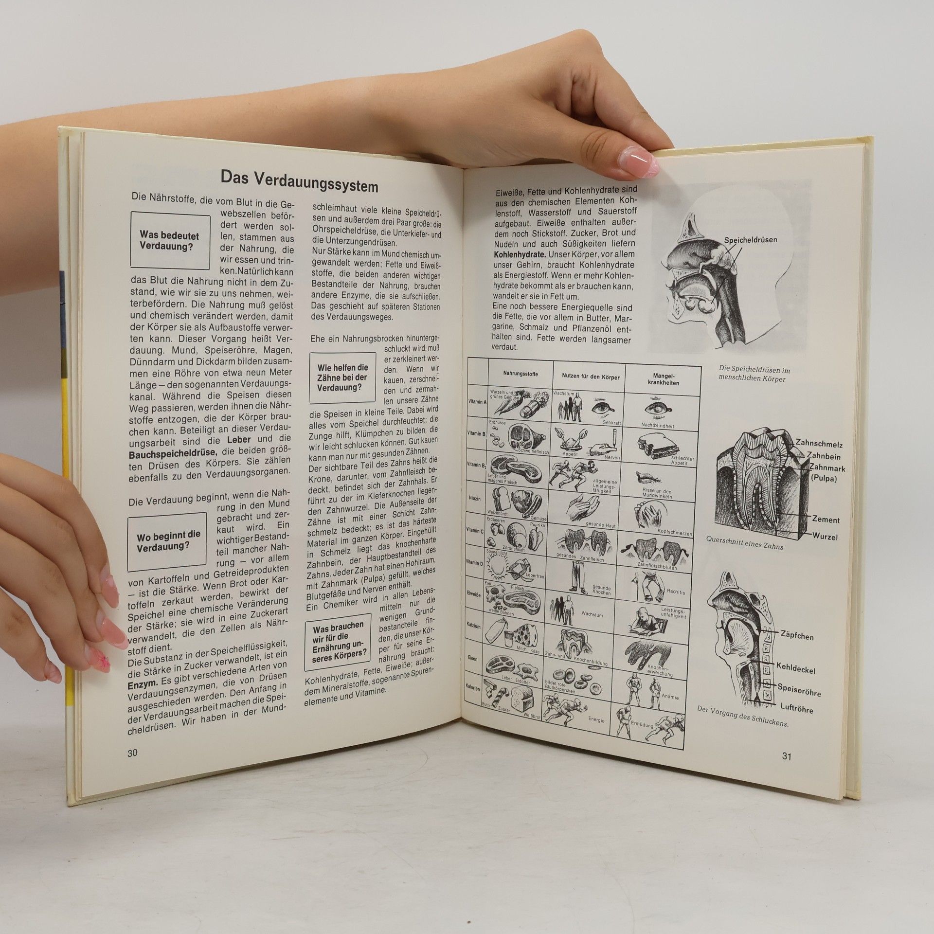Signe Seiler Der Mensch