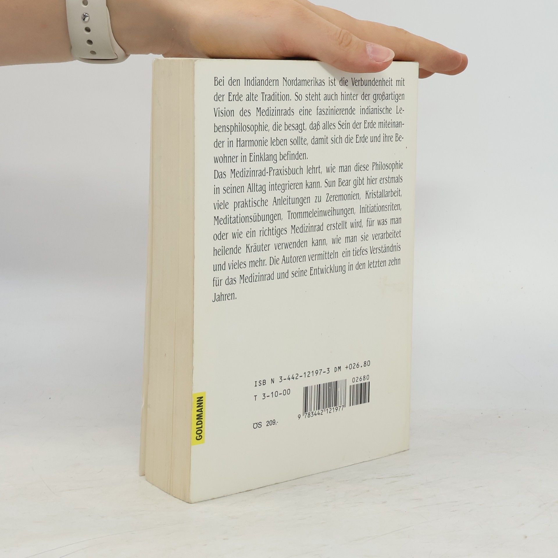 Sun Bear Das Medizinrad Praxisbuch. Übungen zur Heilung der Erde.