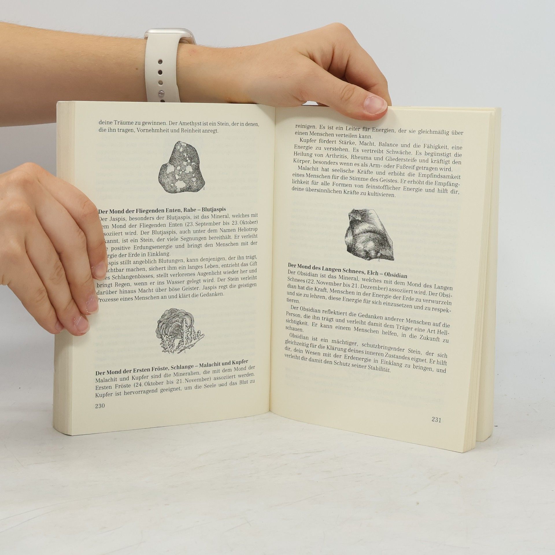 Sun Bear Das Medizinrad Praxisbuch. Übungen zur Heilung der Erde.