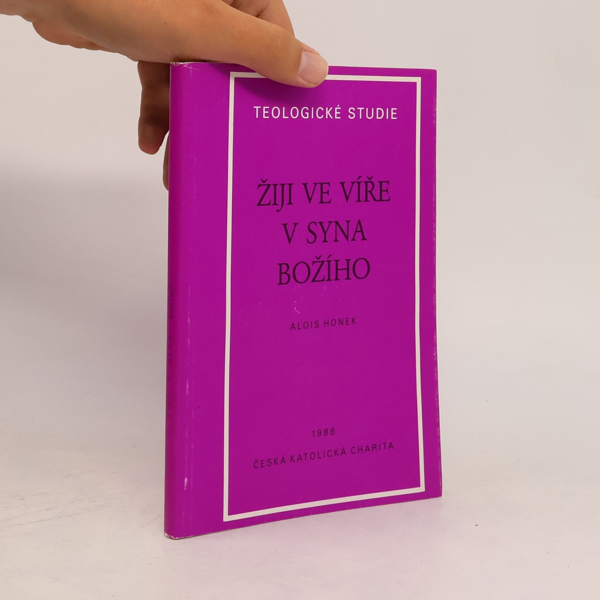 Alois Honek Žiji ve víře v Syna Božího