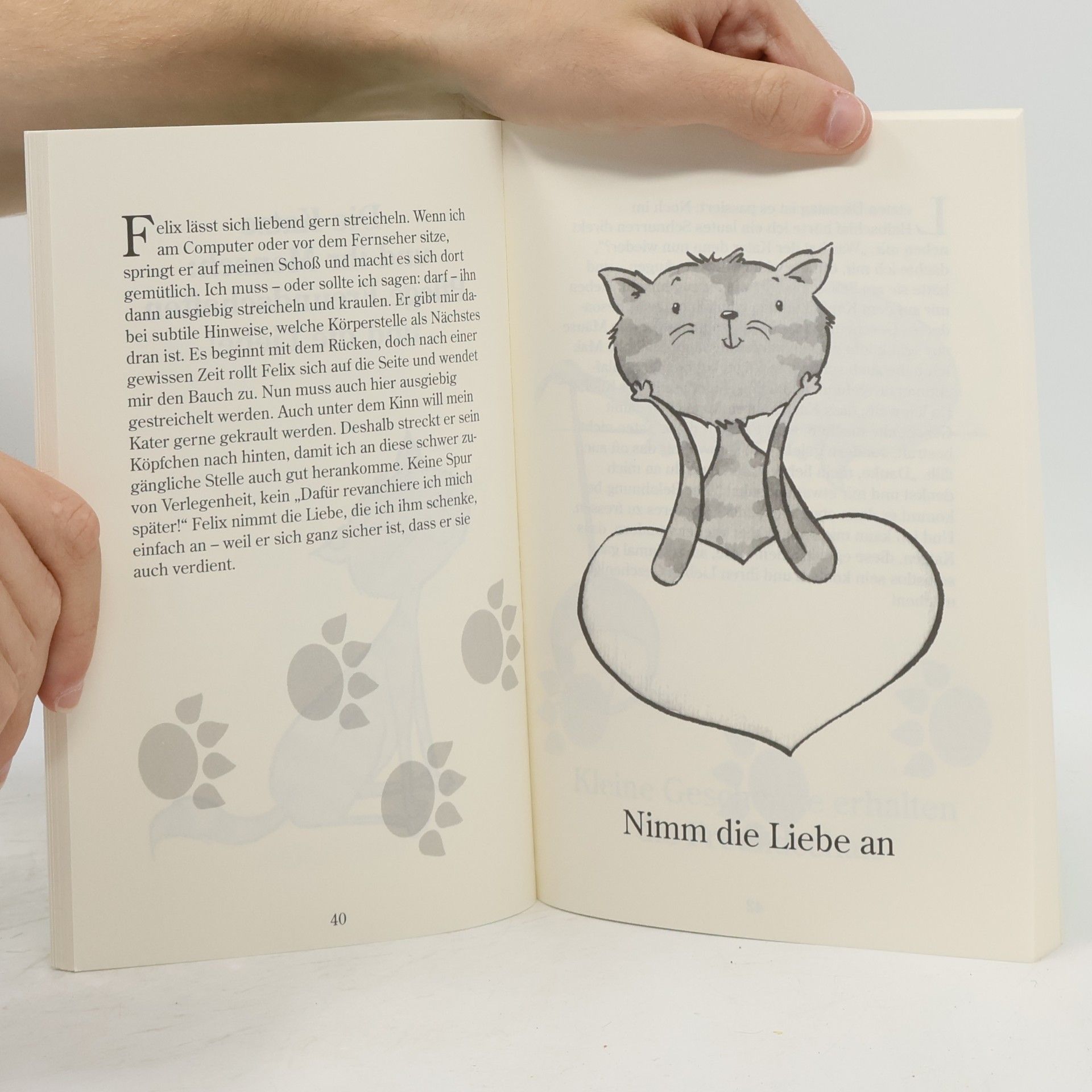 Birgit Adam Werde glücklich wie deine Katze