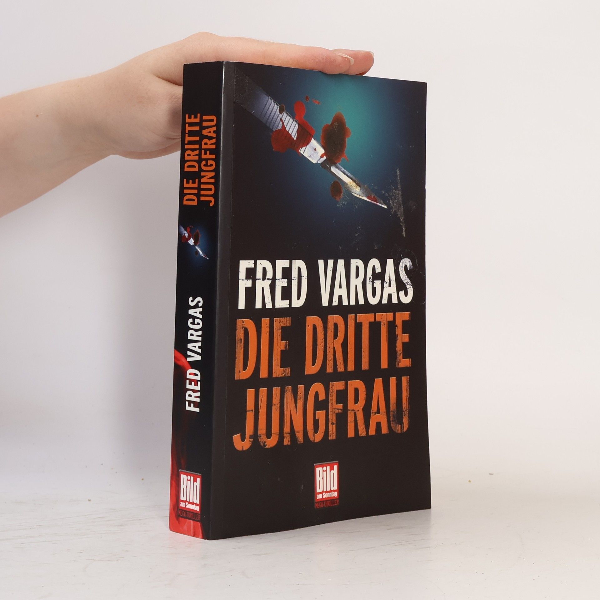 Fred Vargas Die dritte Jungfrau