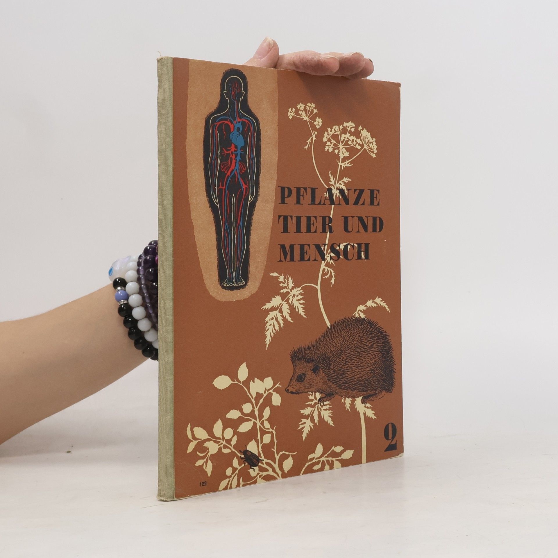 Friedrich Krämer Pflanze Tier und Mensch 2