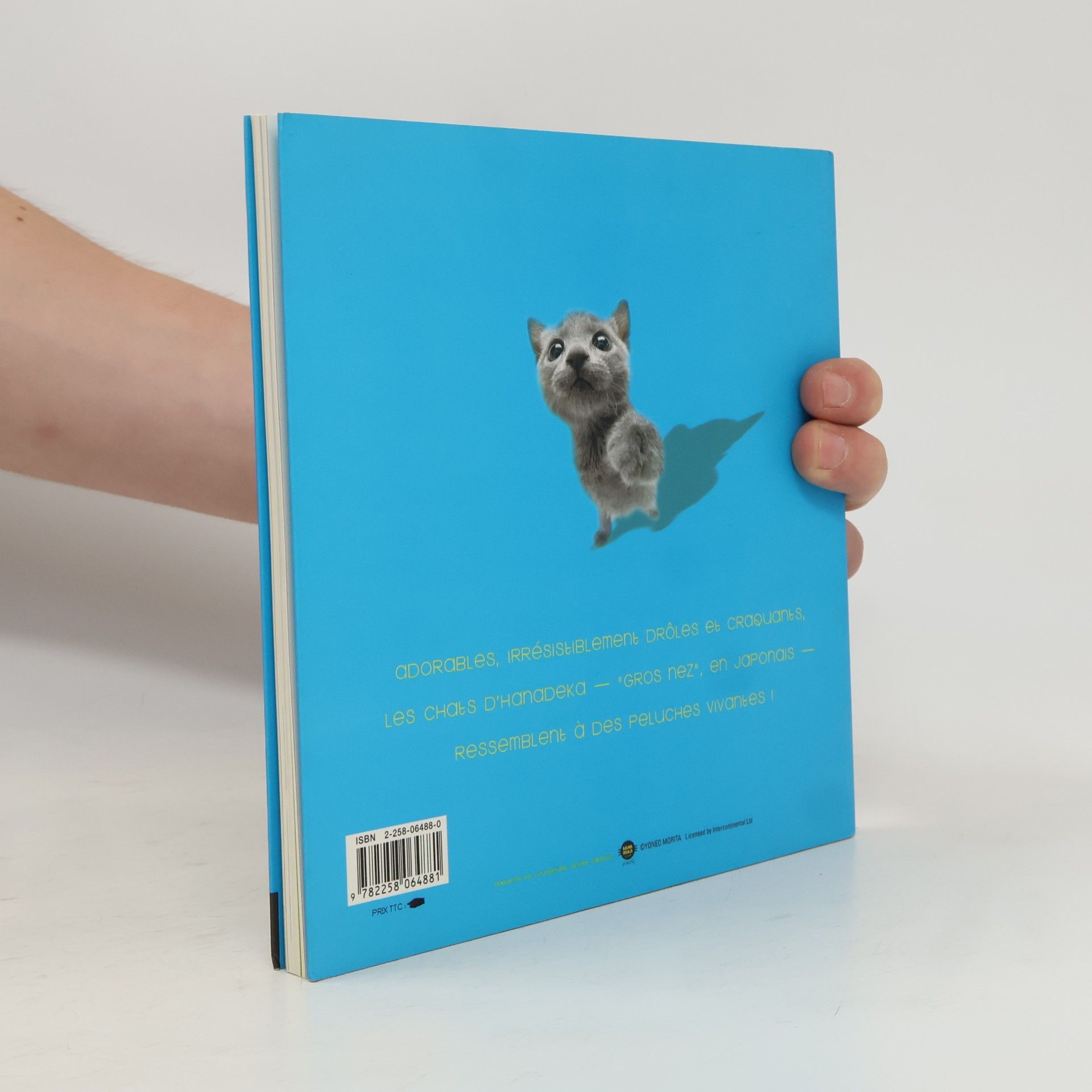 Hana Deka Club Le Livre des Petites Truffes