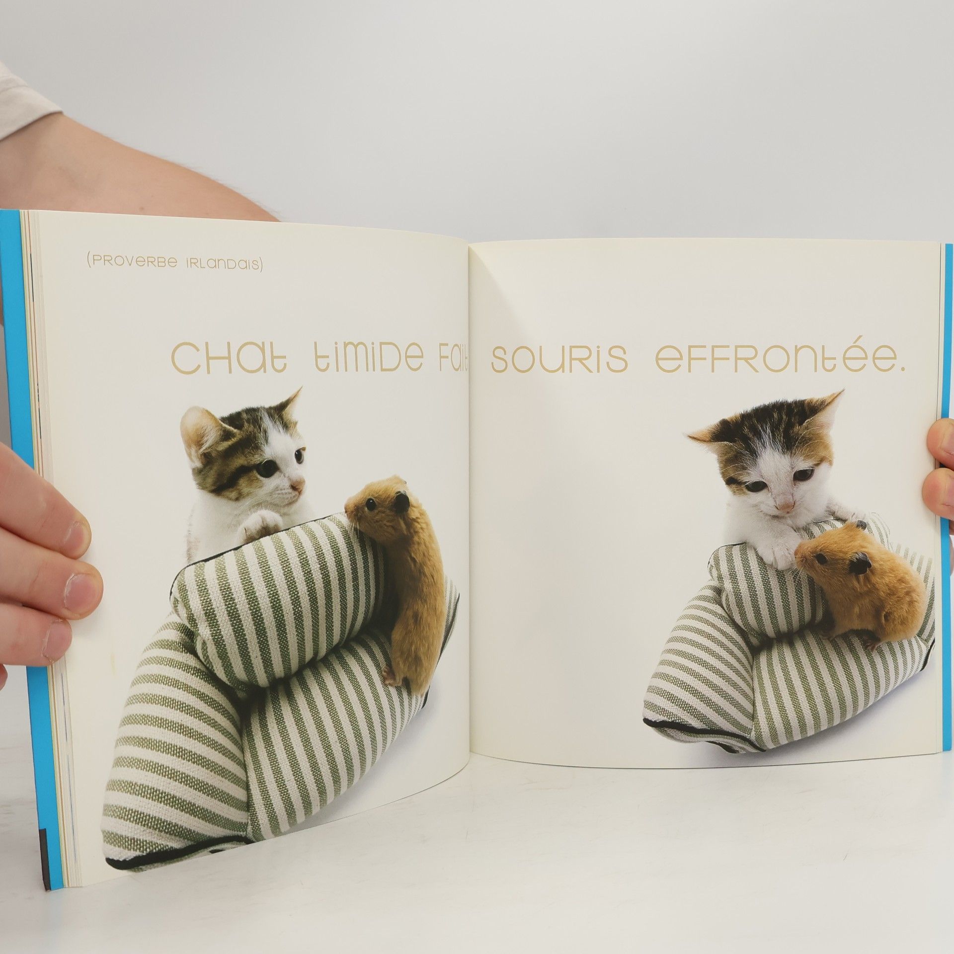 Hana Deka Club Le Livre des Petites Truffes