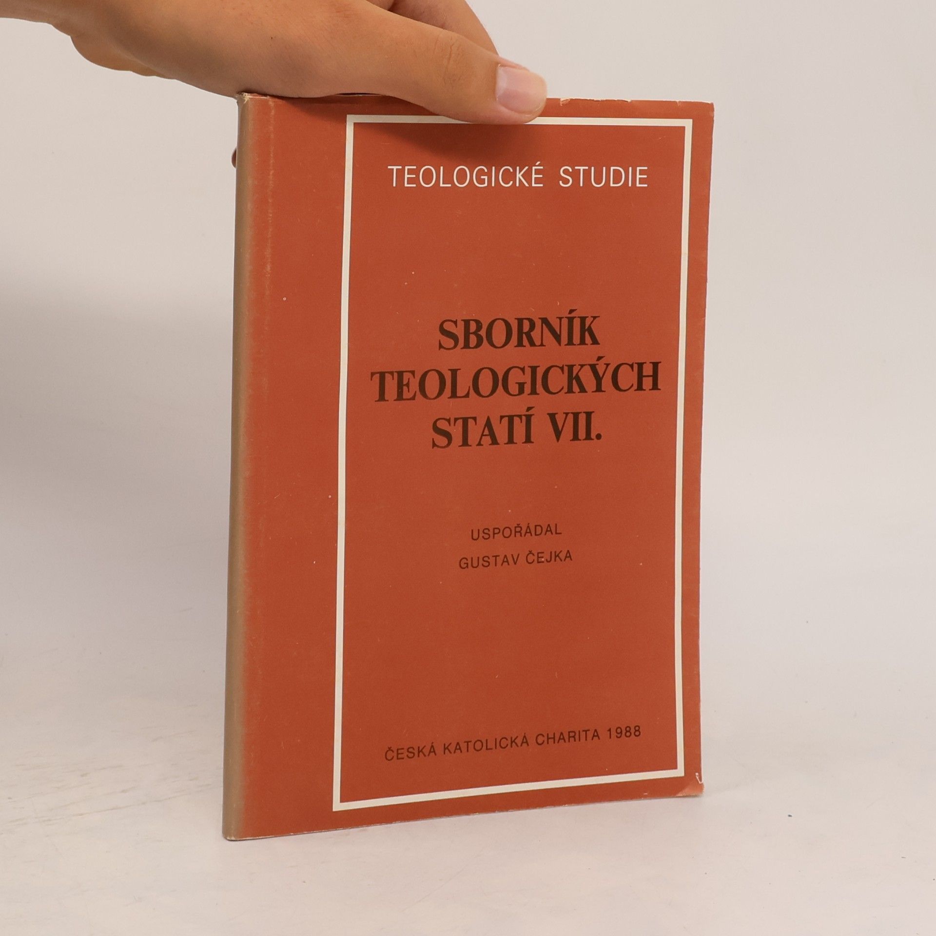 Sborník teologických statí VI.