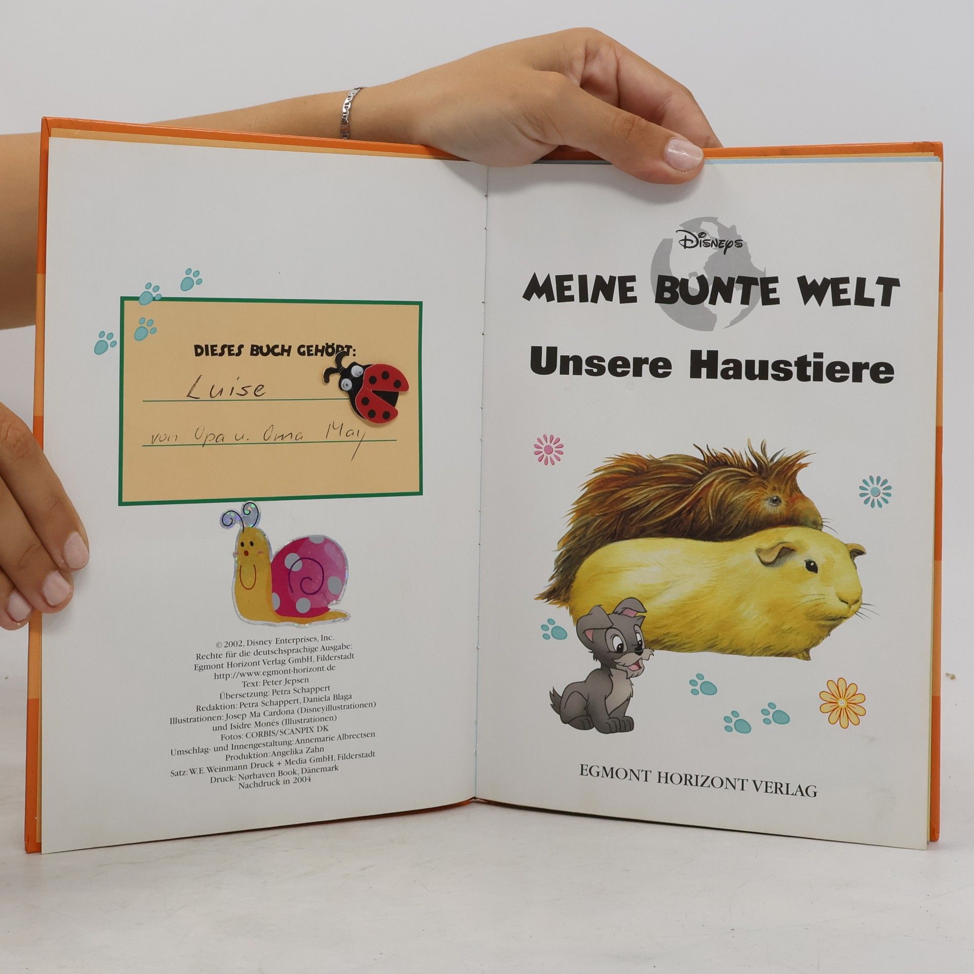 Autorenkollektiv Meine bunte Welt: Unsere Haustiere