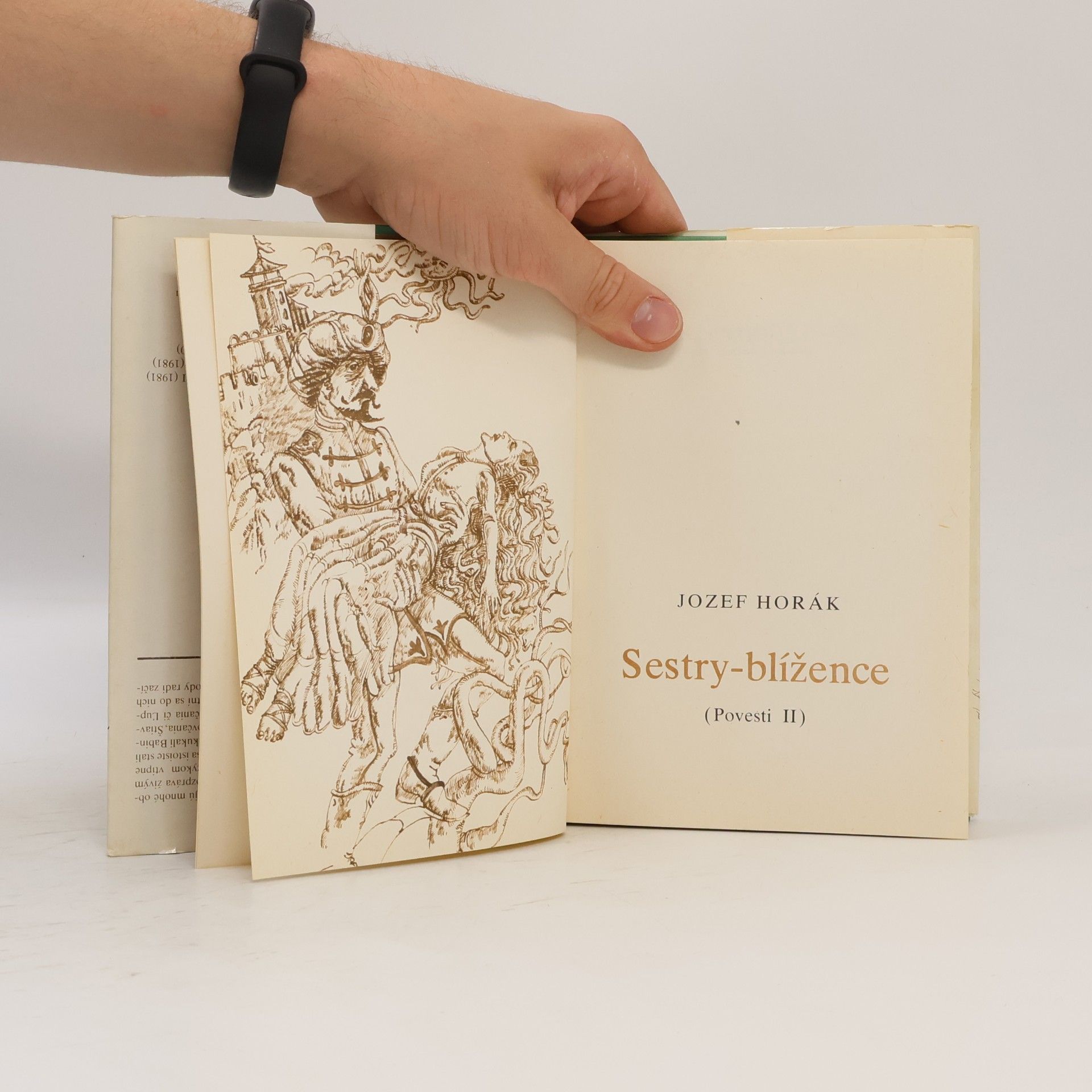 Jozef Horák Sestry-blížence