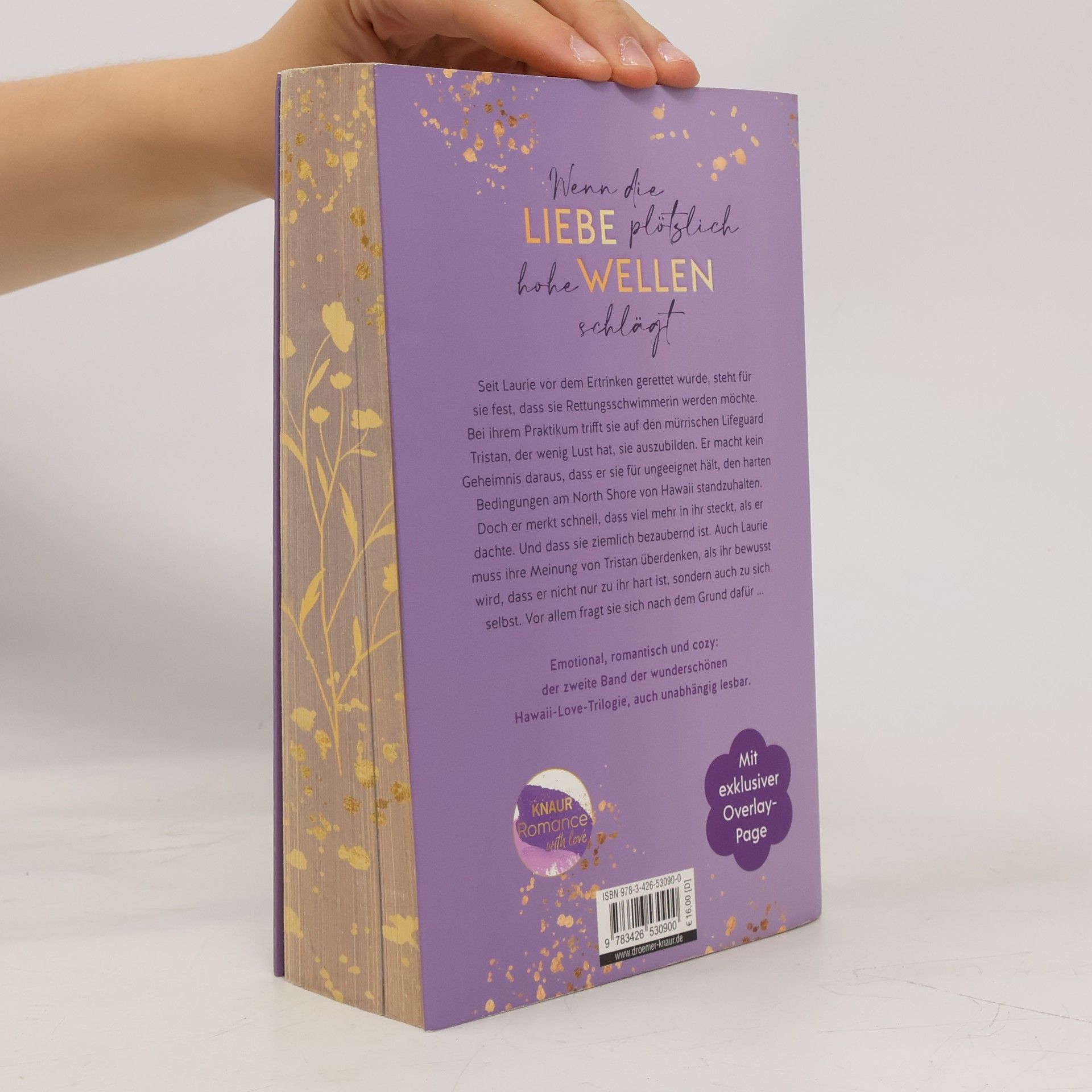 Lilly Lucas This could be home / Hawaii Love Bd.2