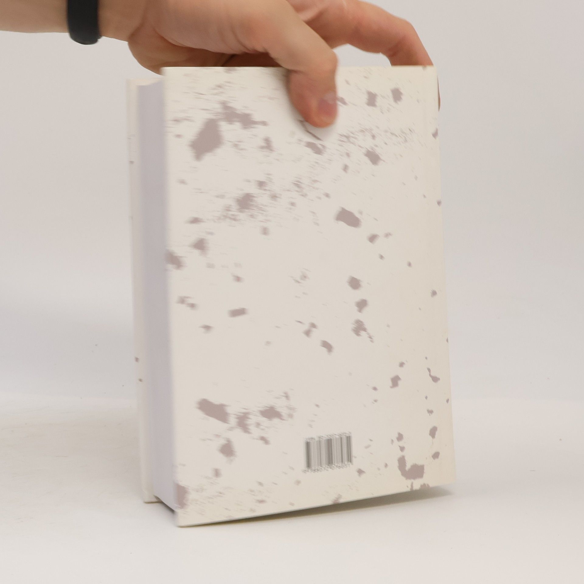 Thomas Pynchon Duha gravitace