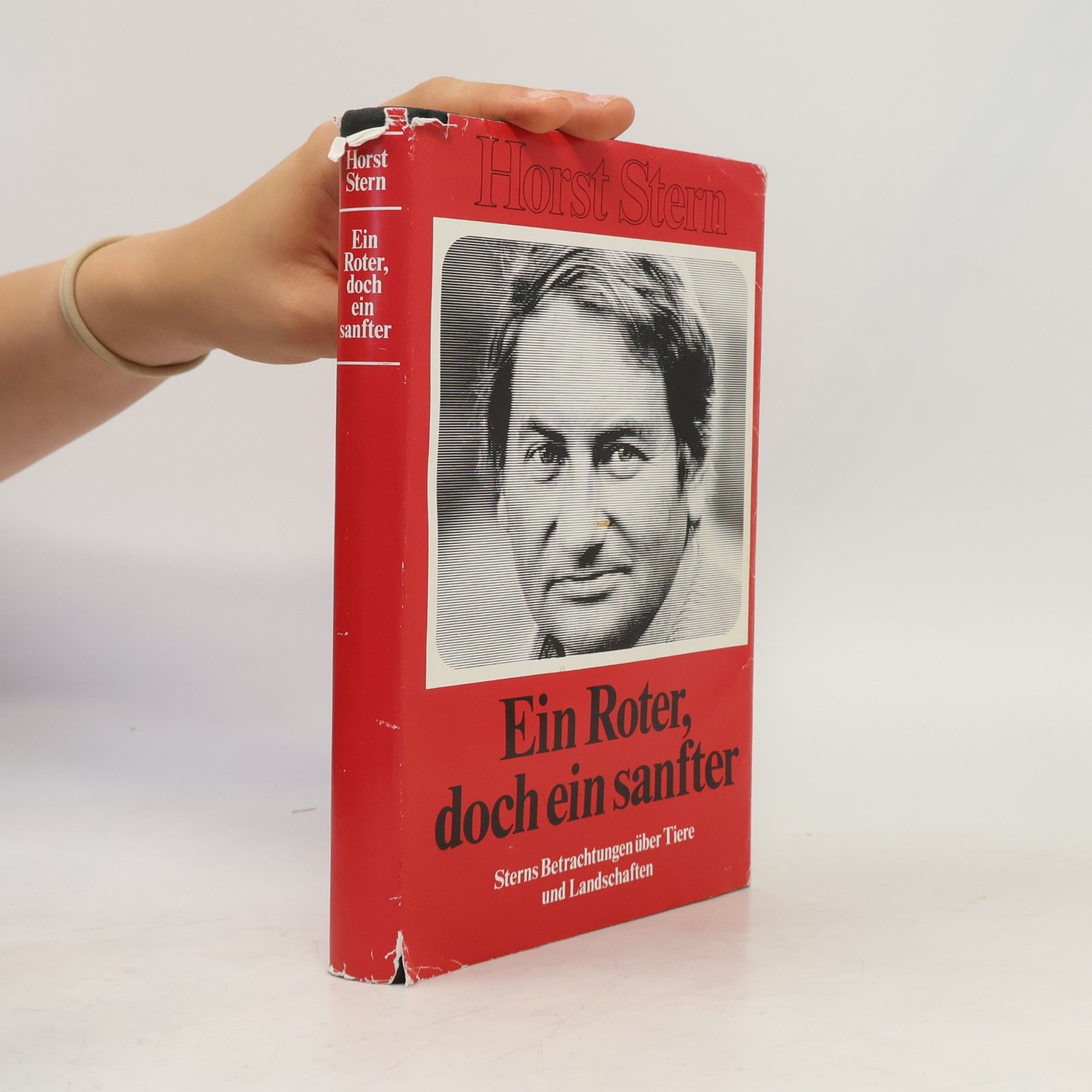 Ein Roter, doch ein sanfter