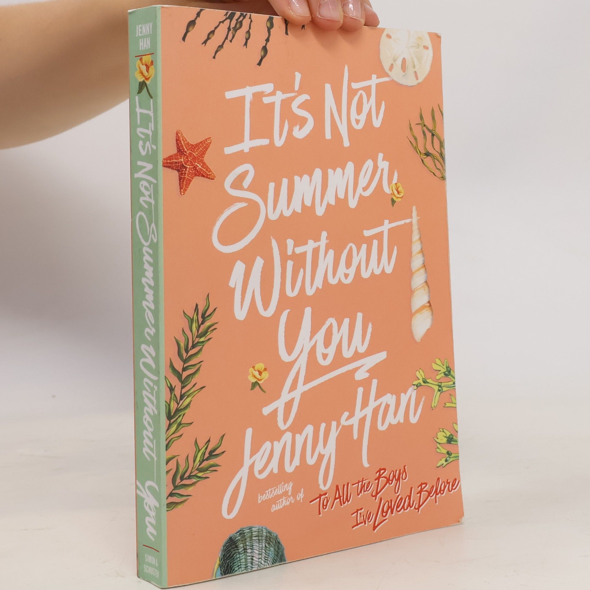 It's Not Summer Without You