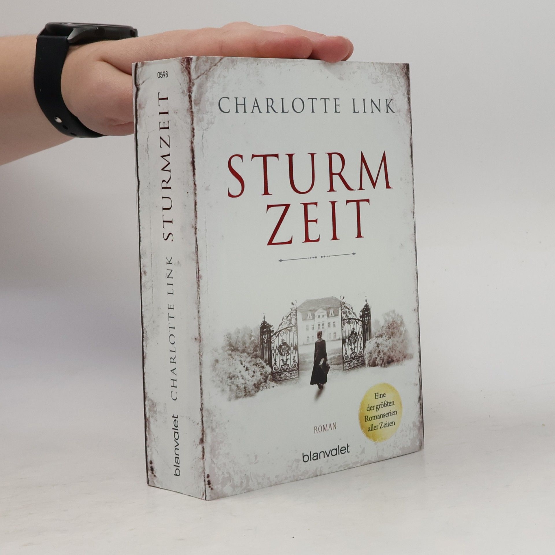 Charlotte Link Sturmzeit