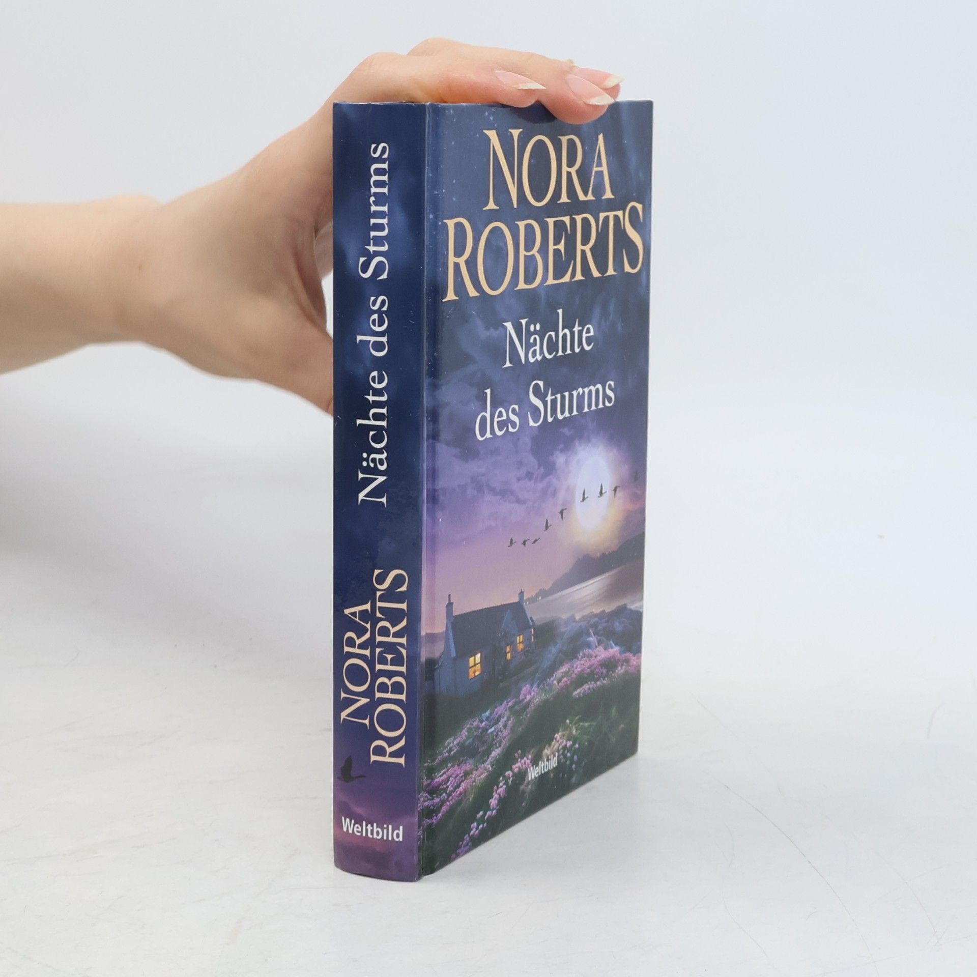 Nora Roberts Insel des Sturms
