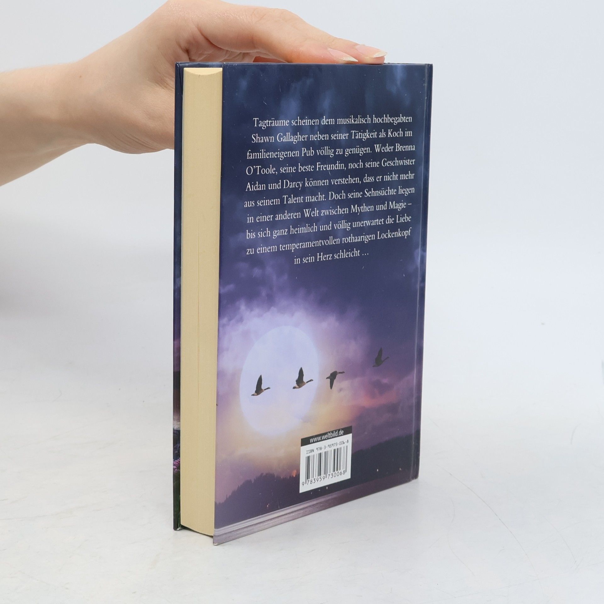 Nora Roberts Insel des Sturms