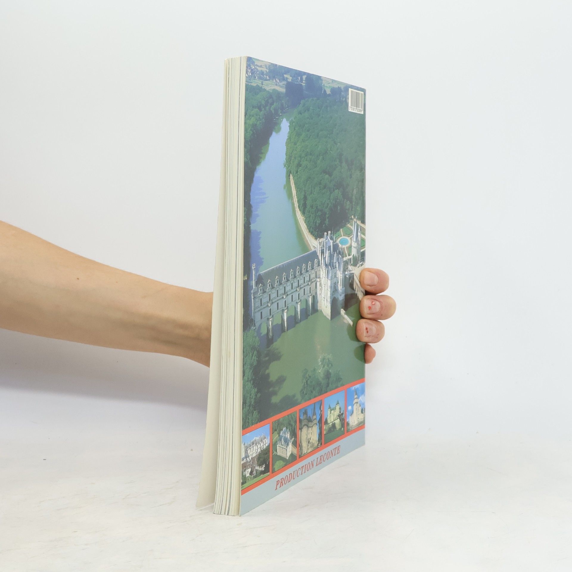 Various authors The Chateaux of the Loire