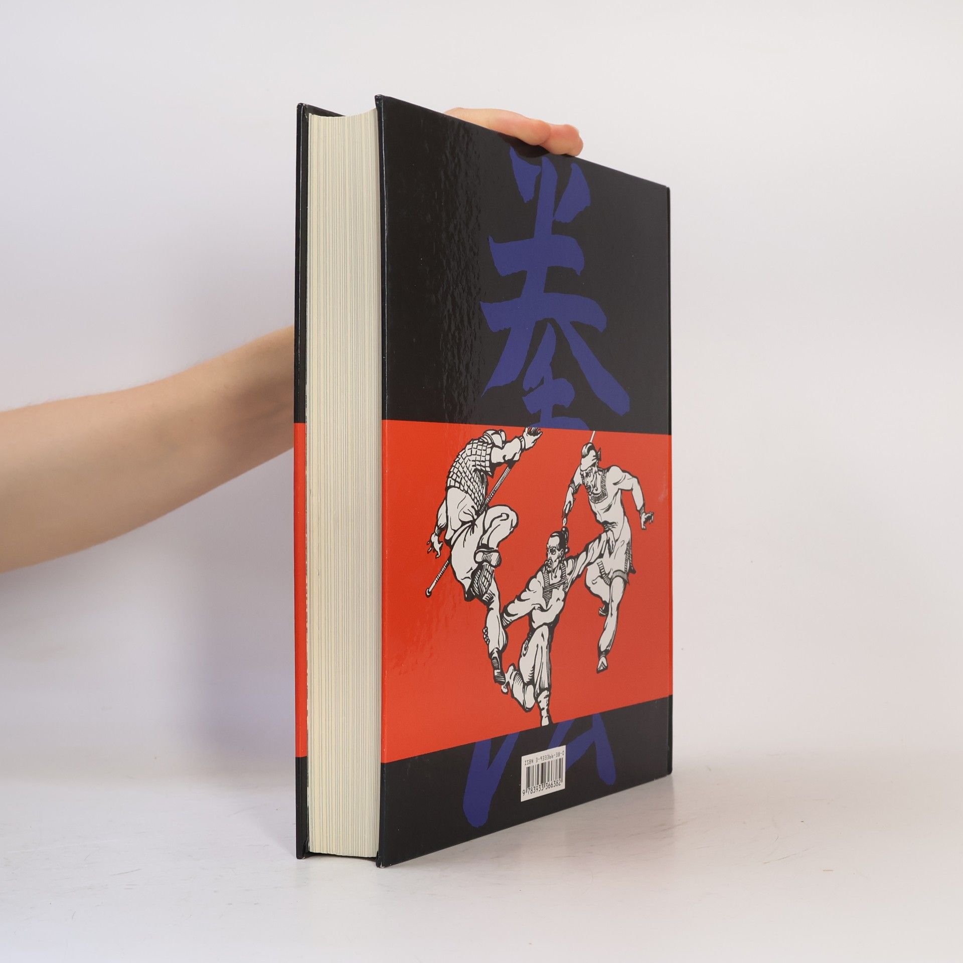 Aleksandr Dolin Kempo : die Kunst des Kampfes