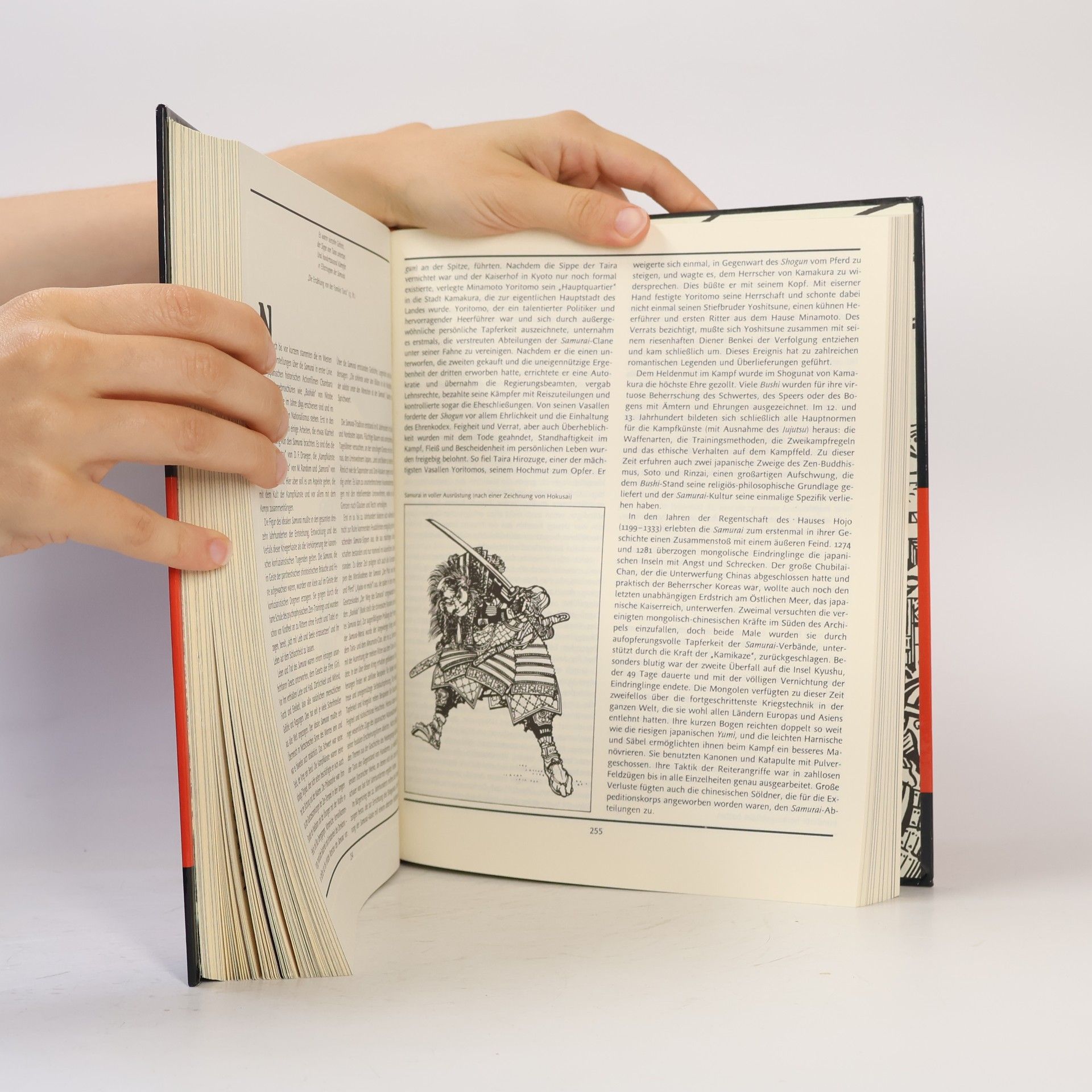 Aleksandr Dolin Kempo : die Kunst des Kampfes