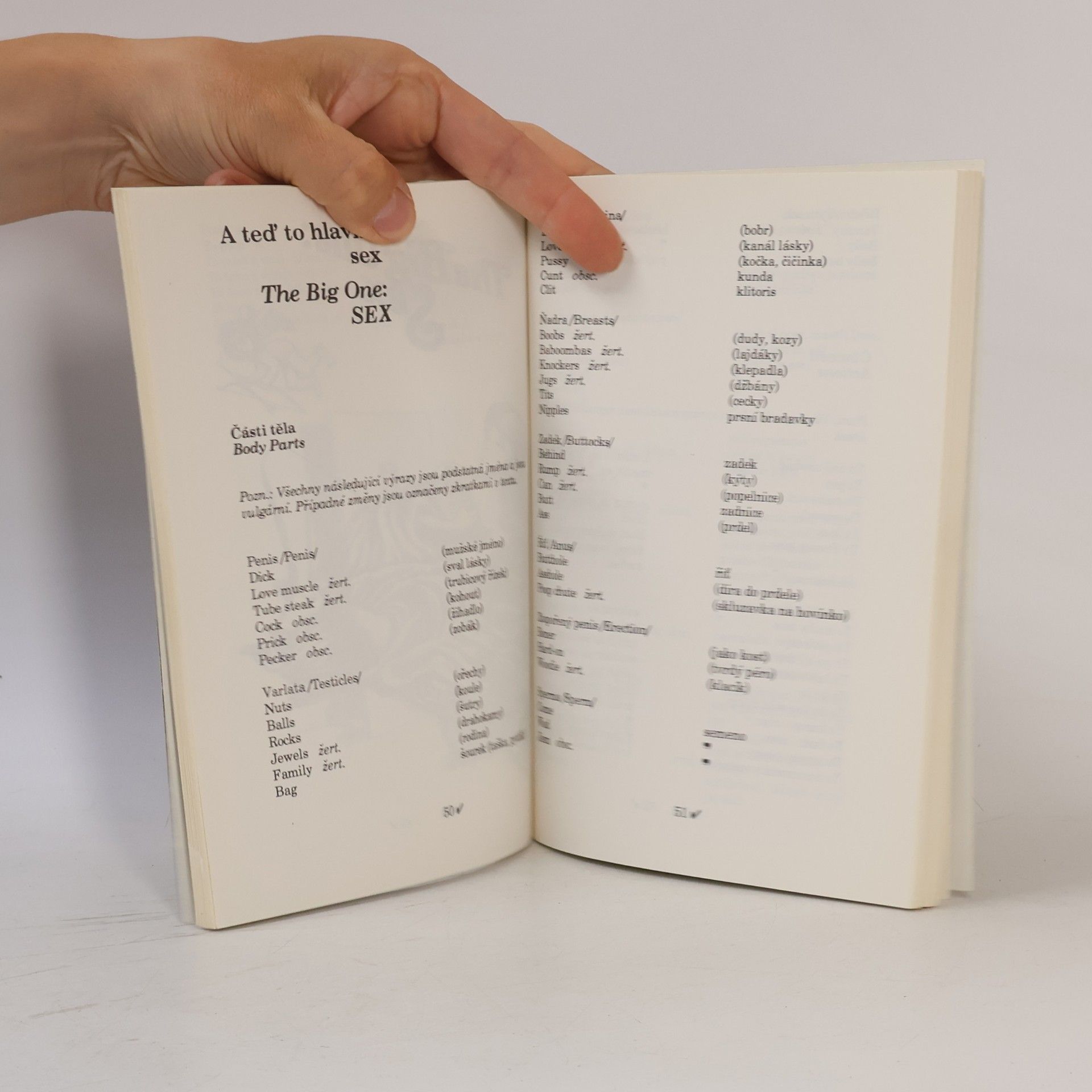 Sinclair Nicholas Wang-Dang American Slang. Wang-Dang Americký slang