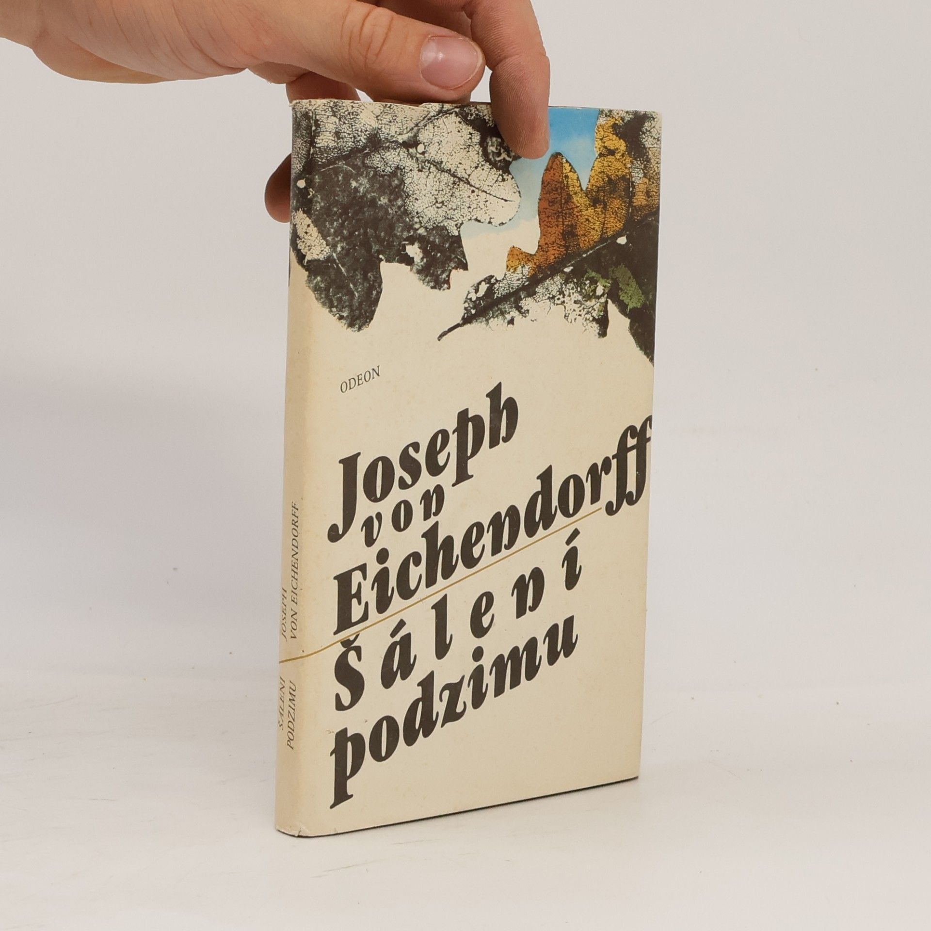 Joseph von Eichendorff Šálení podzimu : výbor z prozaického a lyrického díla